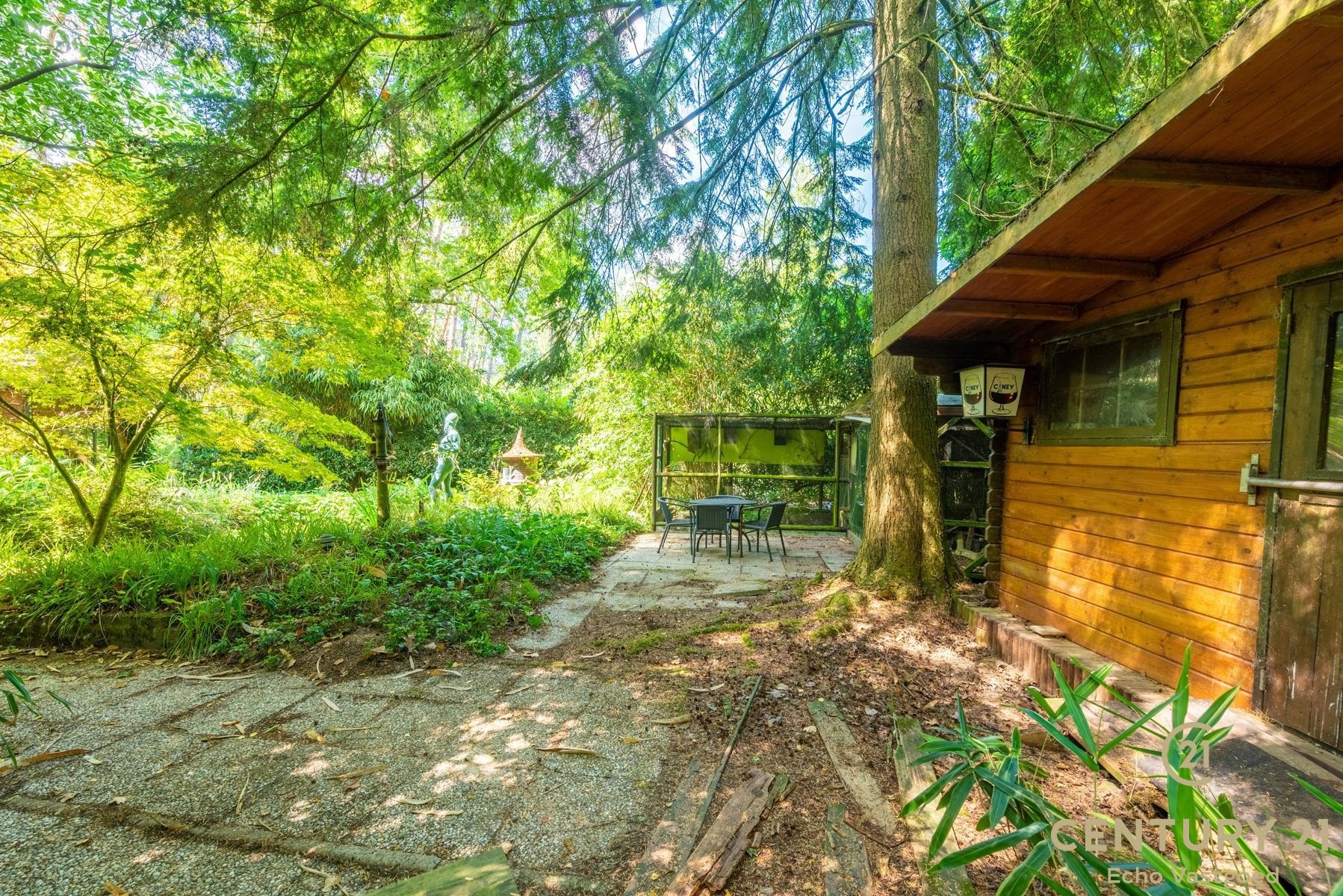 Volledig te renoveren vakantiechalet op een royaal perceel foto 15