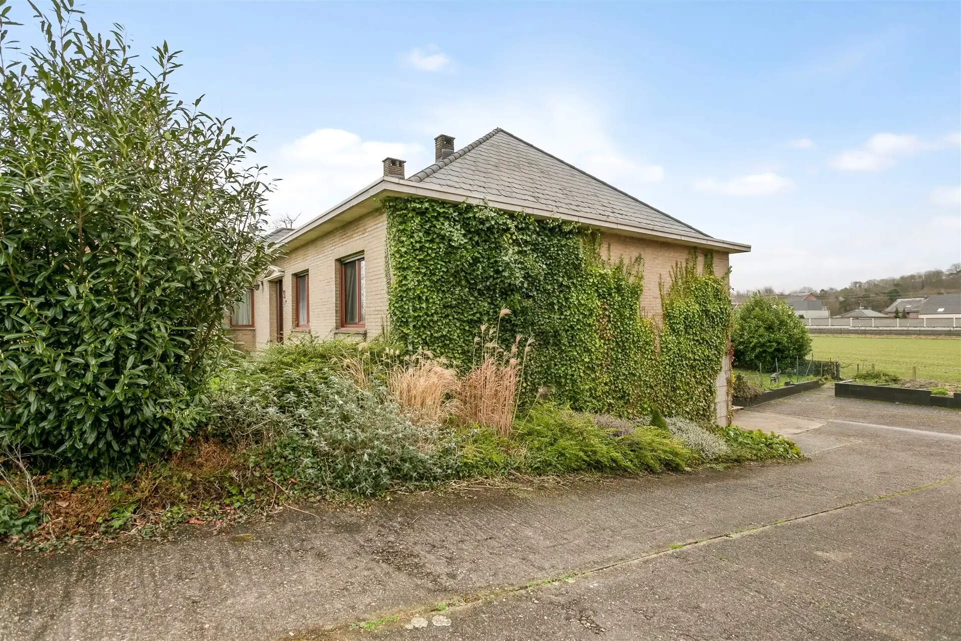Ruime vrijstaande woning, omgeven door groene weilanden en op wandelafstand van het dorp. foto 3