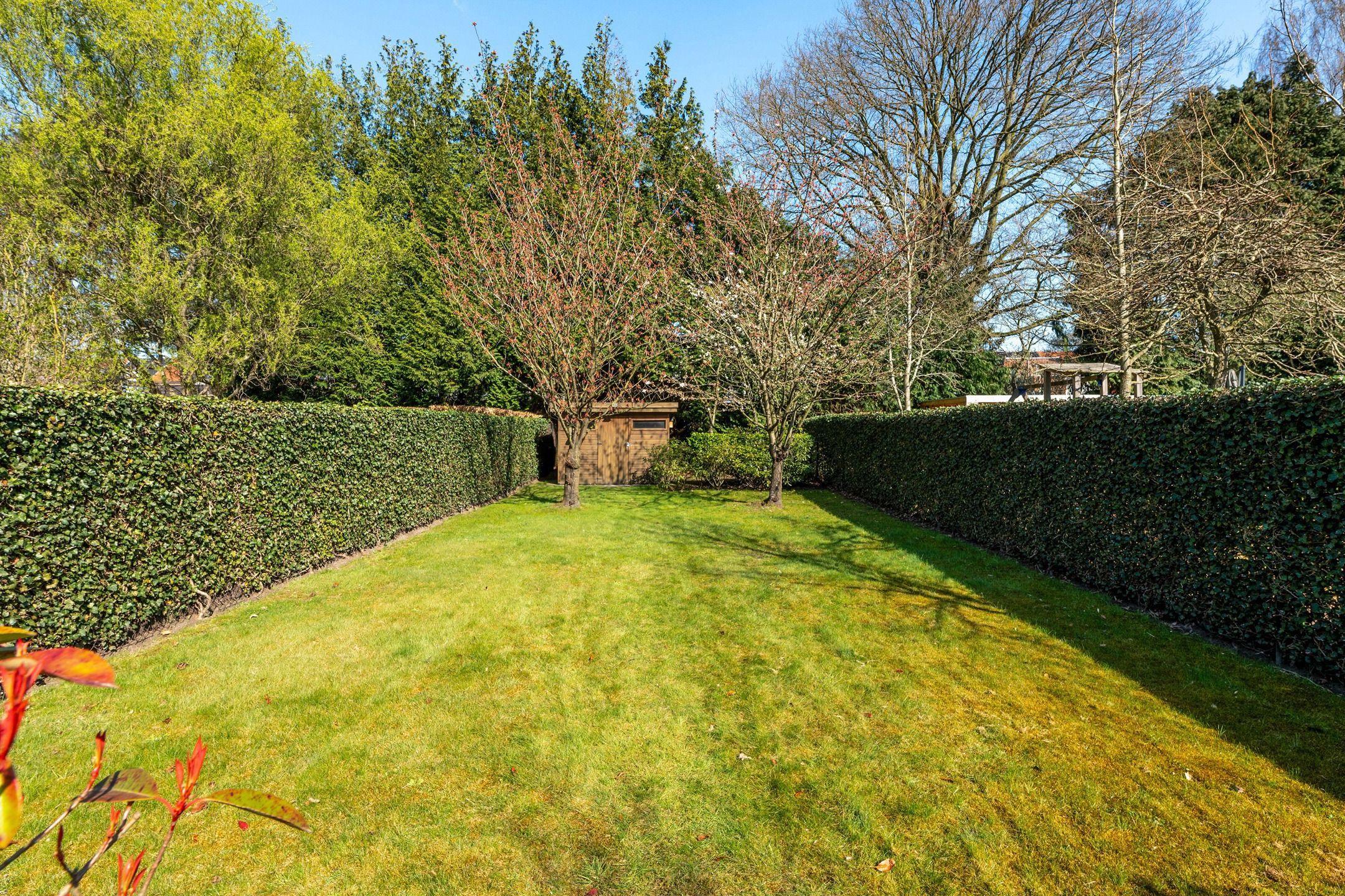 OPEN HUIS OP WO. 14/05 15U00 - 18U30 EN ZA. 24/05 10U00 - 13U00 foto 22