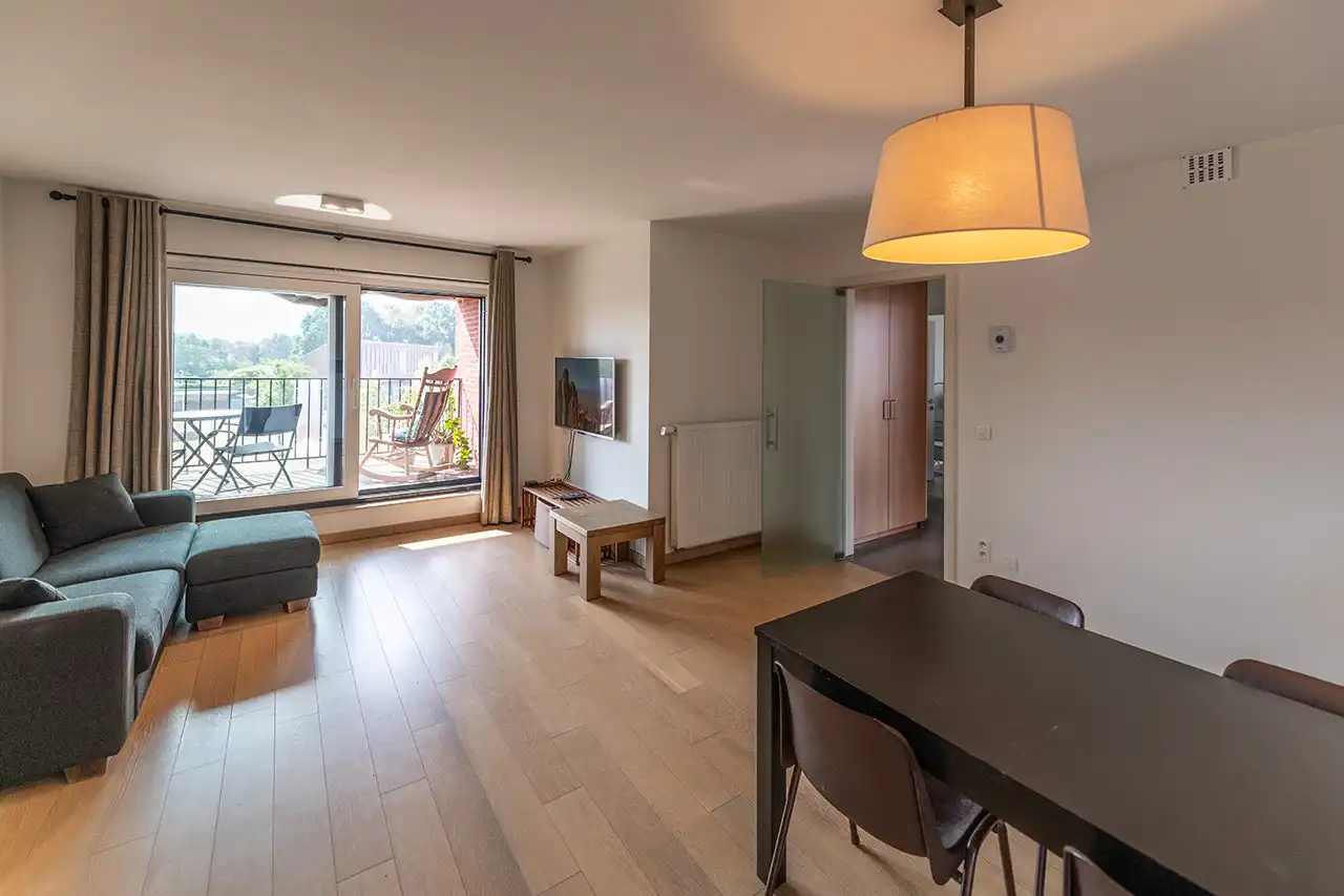 Dakappartement met uitzicht op veel groen foto 3