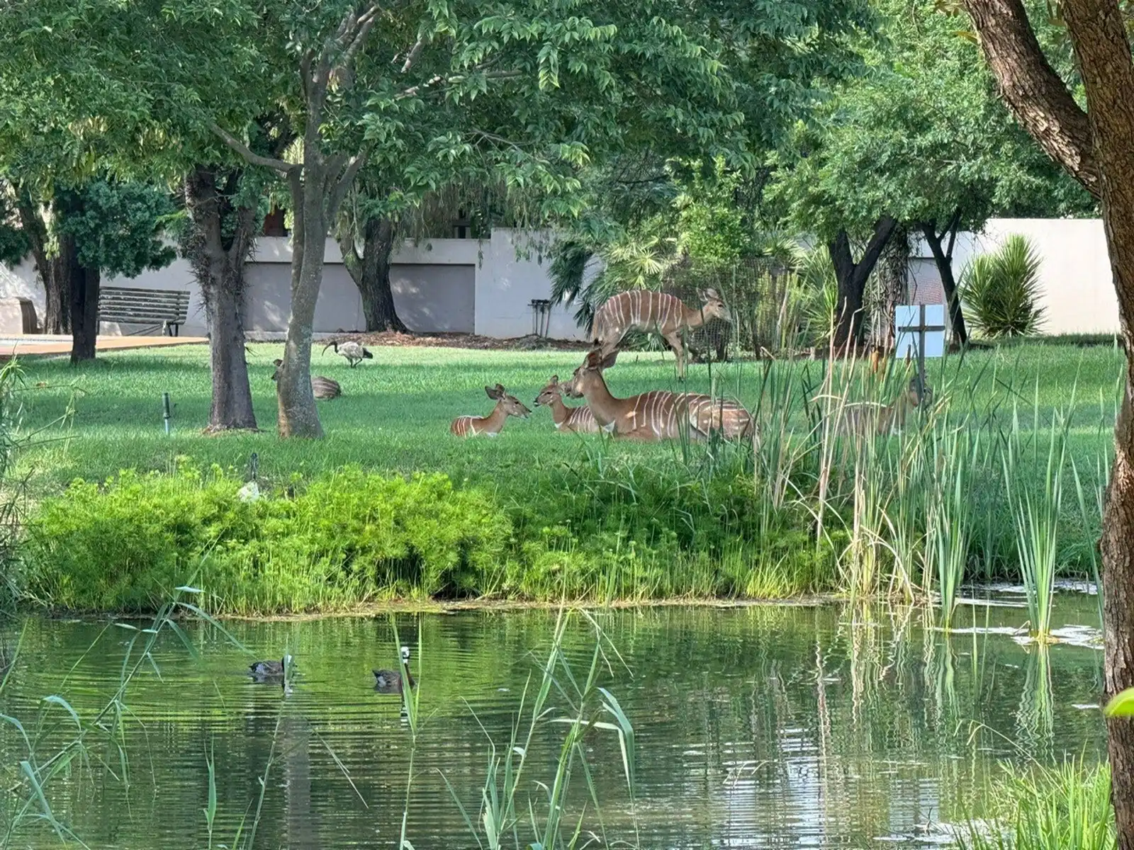 Huis te koop Blue Crane Drive 146/147 - 0260 Hartbeespoort