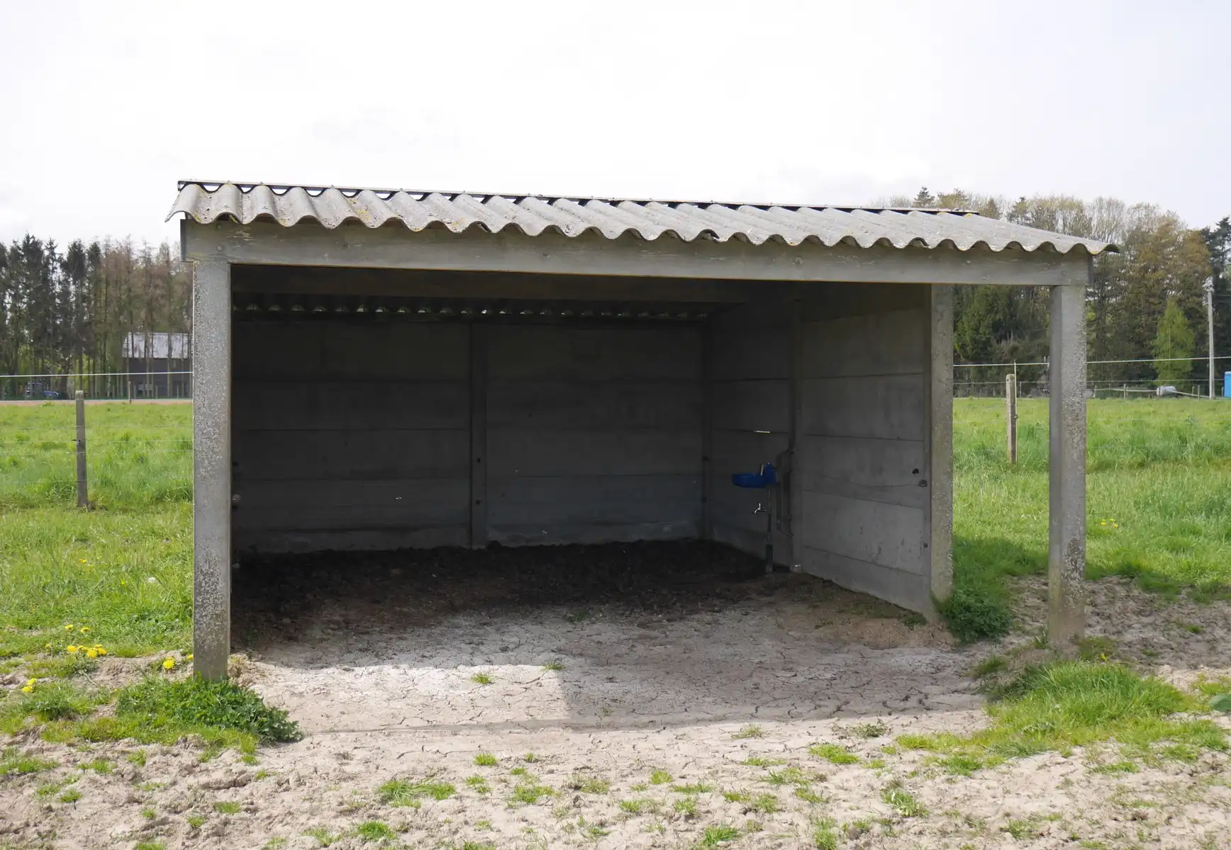 Zeer vlot bereikbare weide foto 3