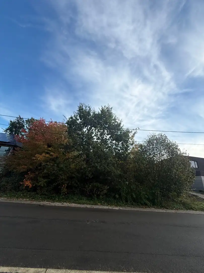 🏡✨ BOUWGROND TE KOOP IN DE LUNSTRAAT TE HOUTHALEN-HELCHTEREN 🌿 foto 2