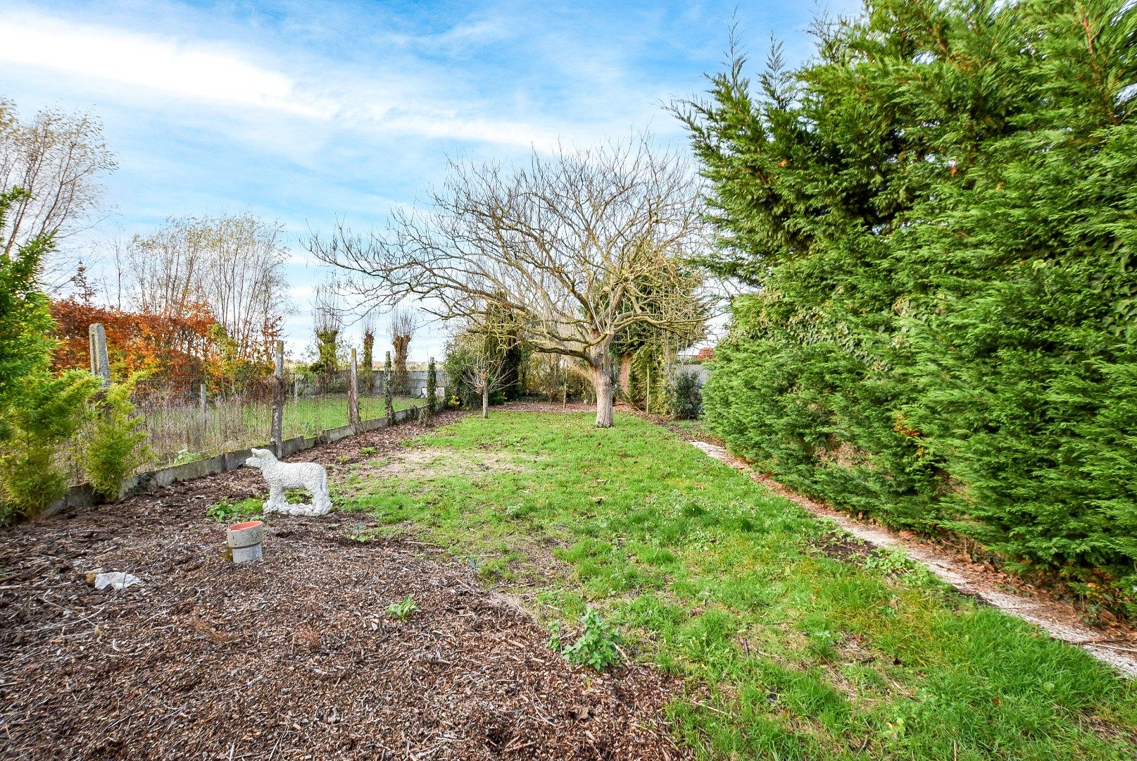 KIJKDAG ZATERDAG 03/01 VAN 10U TOT 12U! foto 22