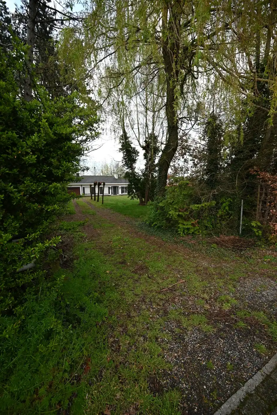 Ruime bouwgrond centum Ingelmunster  foto 5