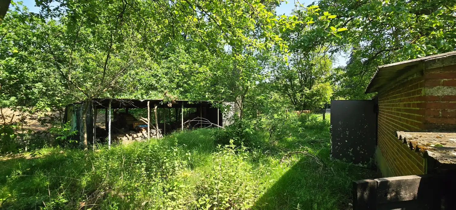 Huis te koop foto 6