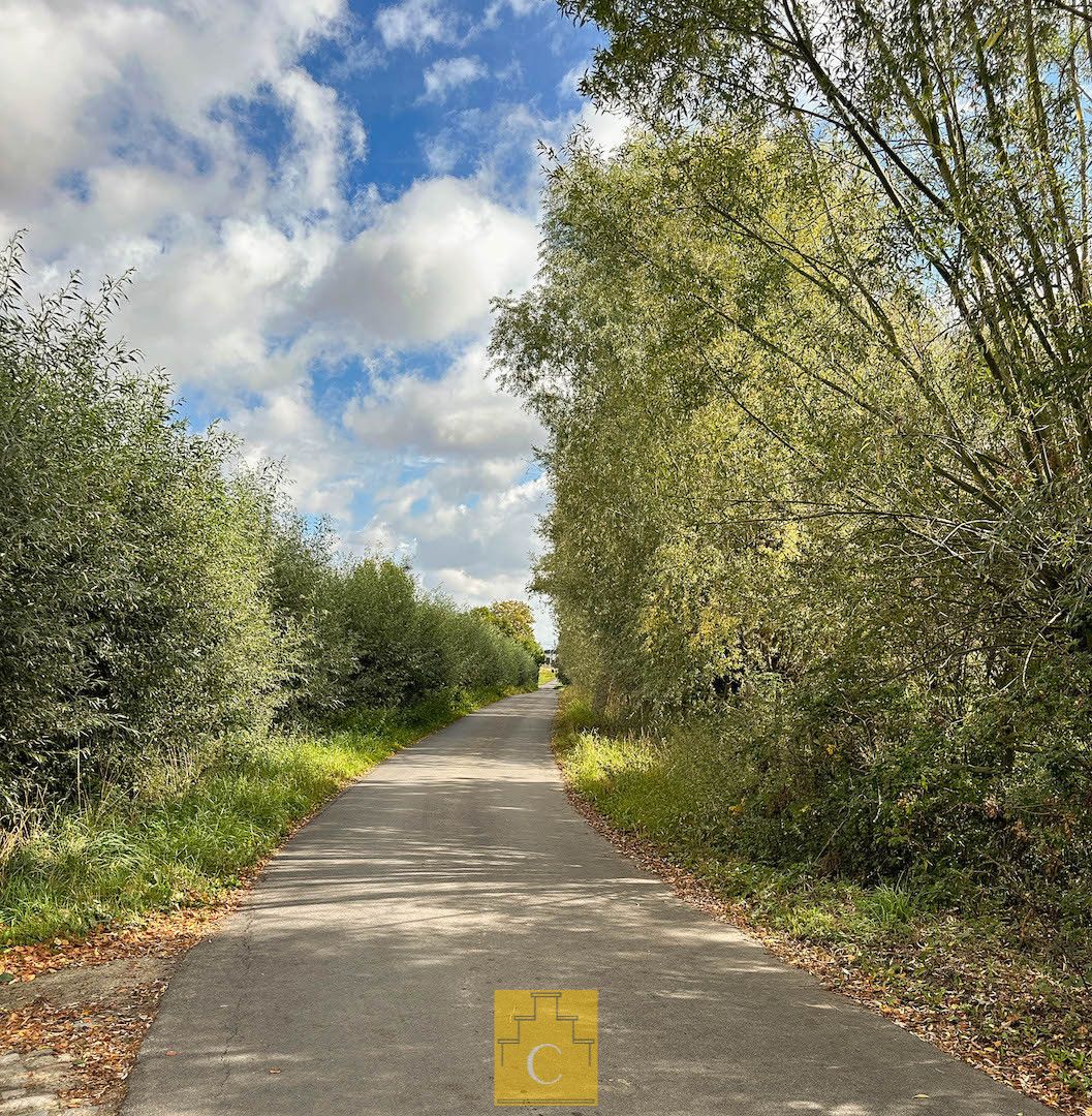 sfeervol landhuis met schuur, garage, zwemvijver en poolhouse, 3 paardenstallen, akkerland en weiland. Idyllische locatie te Torhout (Sint-Henricus), 2,55 ha foto 11