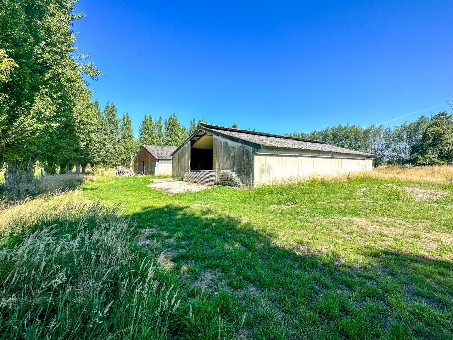 Te renoveren hoeve op unieke ligging in Torhout, vlak bij Groenhovebos foto 11