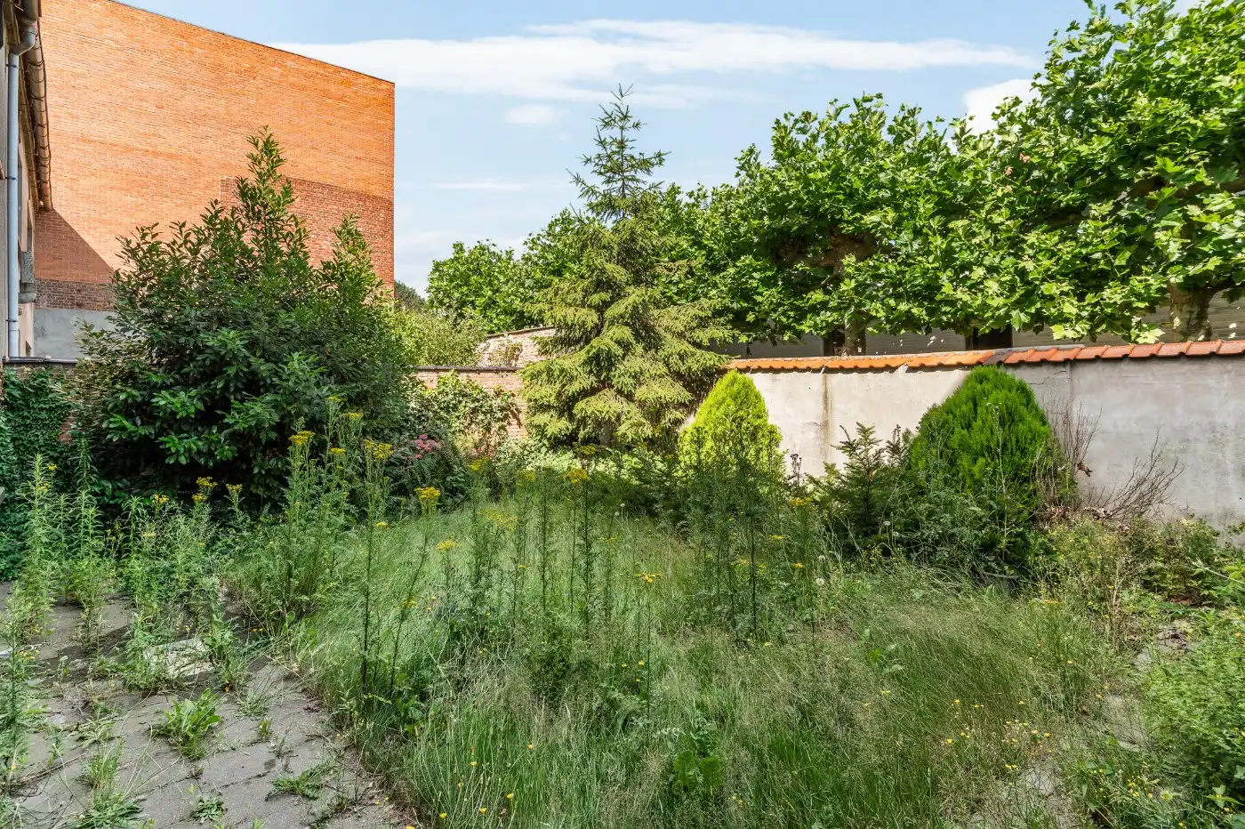 Te renoveren woning met 3 à 4 slpk., garage en tuintje foto 20