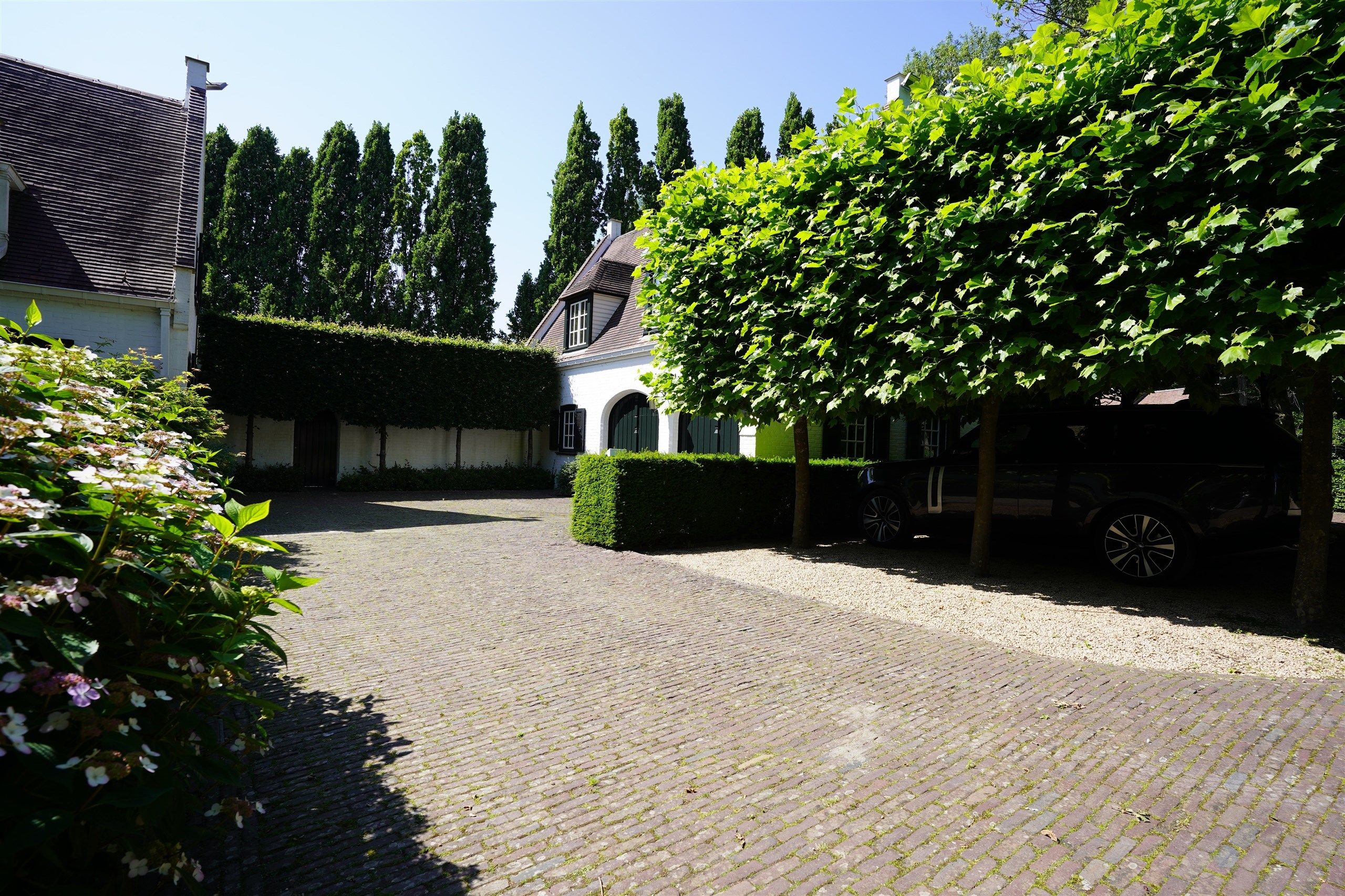 Aan Bellegem bos: Idyllische eigendom op 7.630 m² foto 6