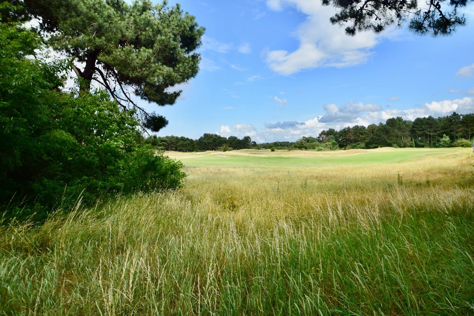 Te renoveren charmante koppelvilla gelegen in een paadje met zicht op de Royal Zoute Golf Club. foto 10