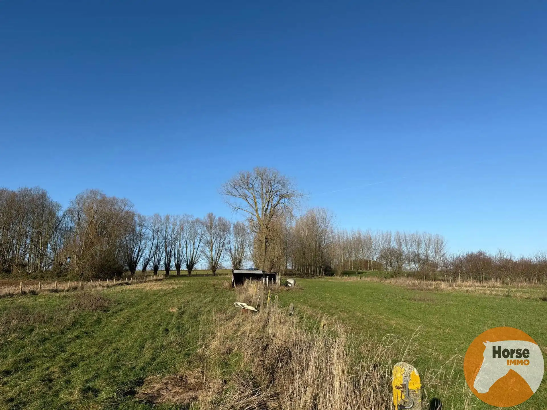 HAALTERT – Weide met stal op ± 65 are foto 4