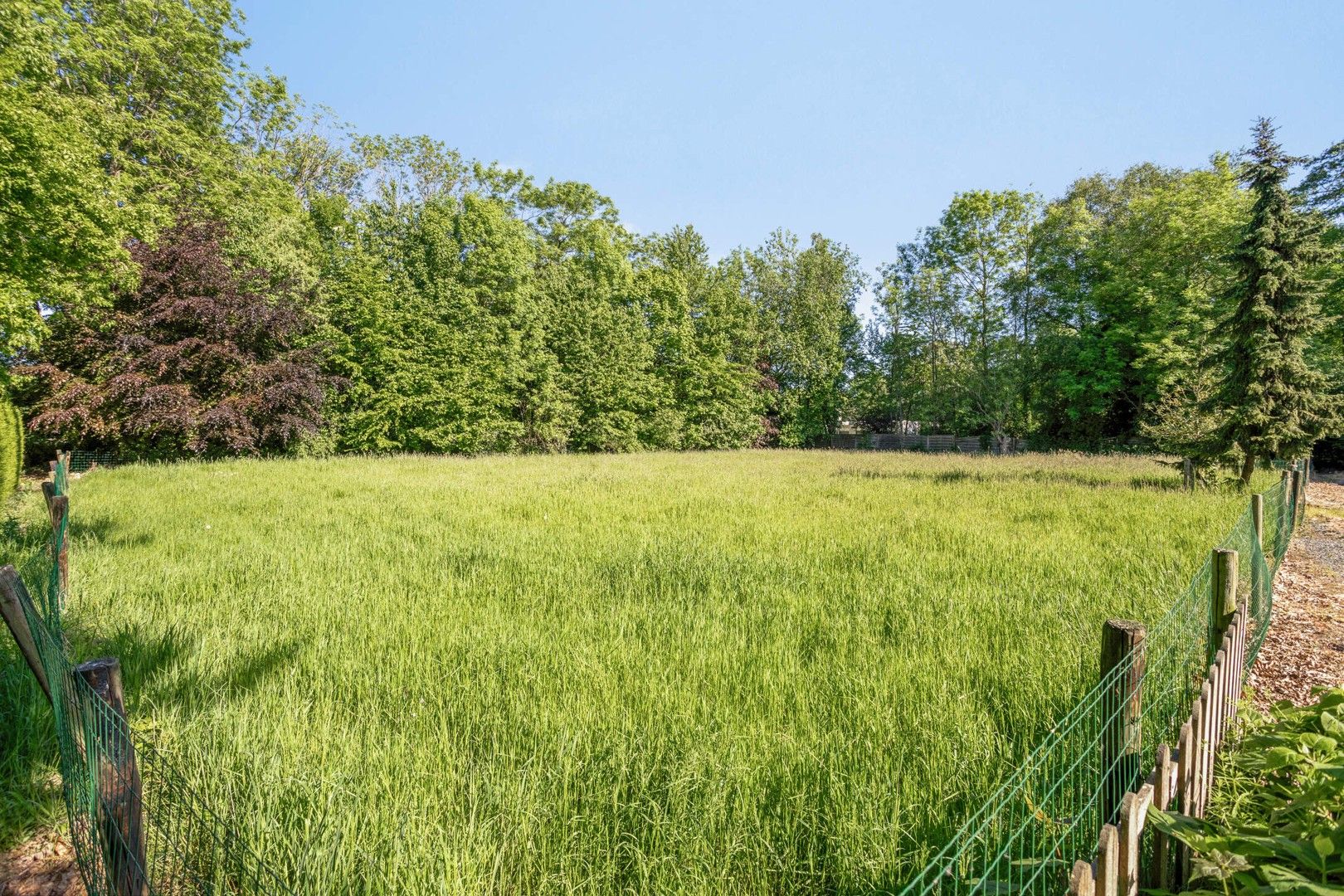 Veelzijdige eigendom met loods en kantoor op 3.199 m² – ideaal voor wonen én werken foto 25