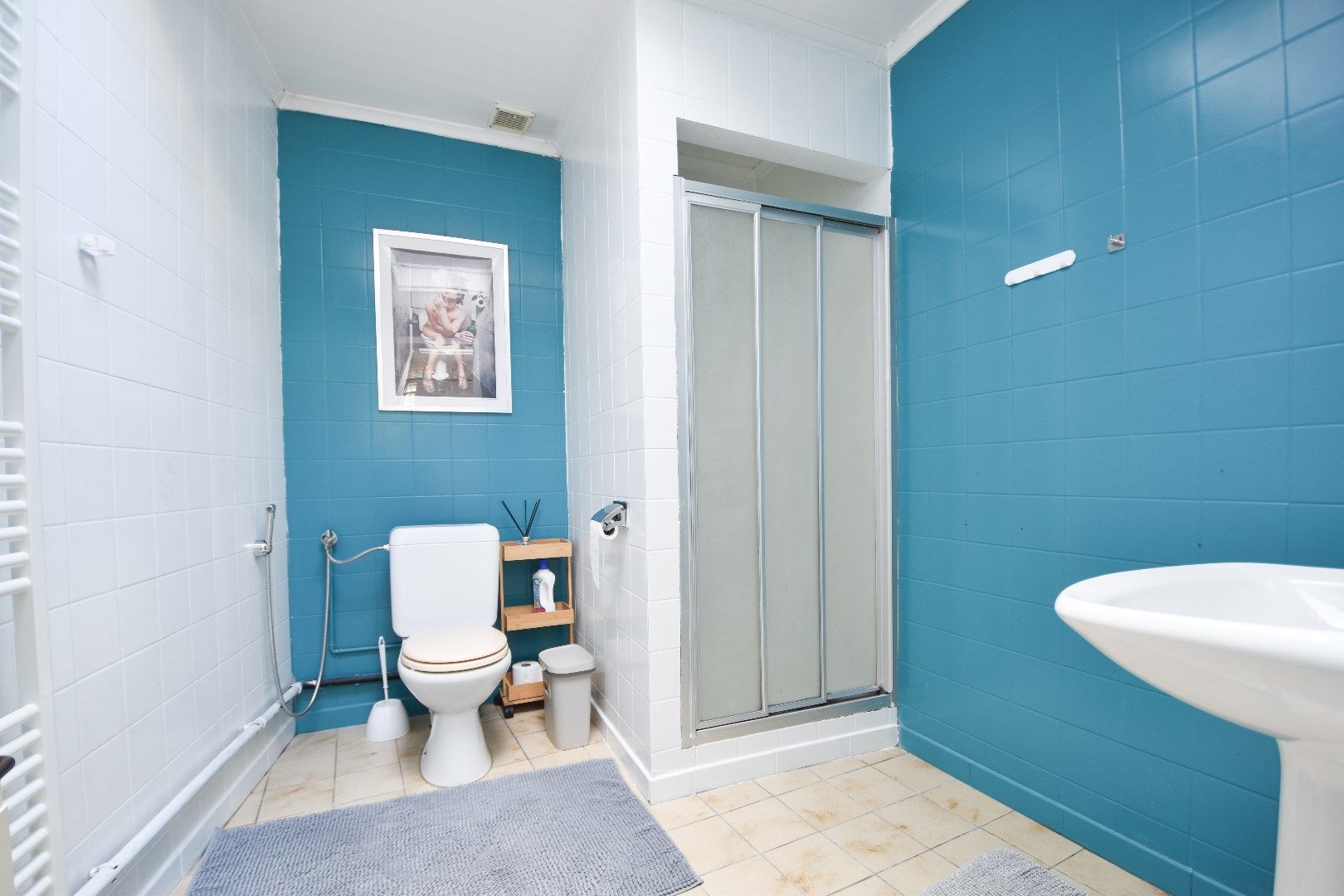 Bemeubelde woning op een toplocatie in Temse foto 6