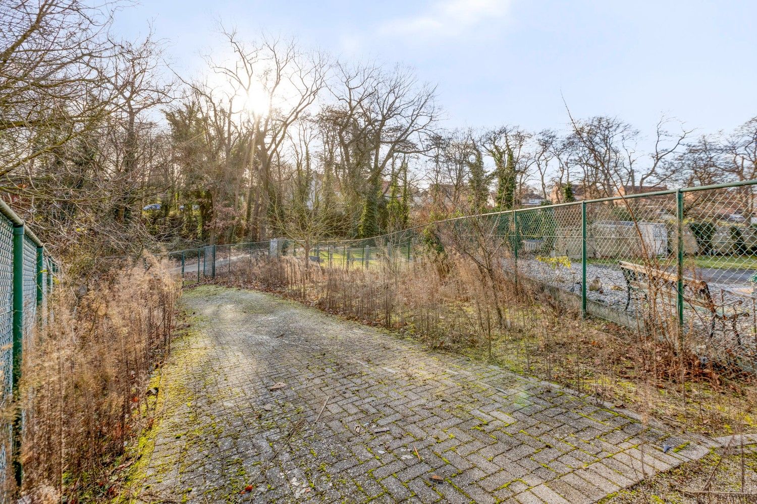 Te renoveren rijwoning met veel potentieel in hartje Genk foto 32