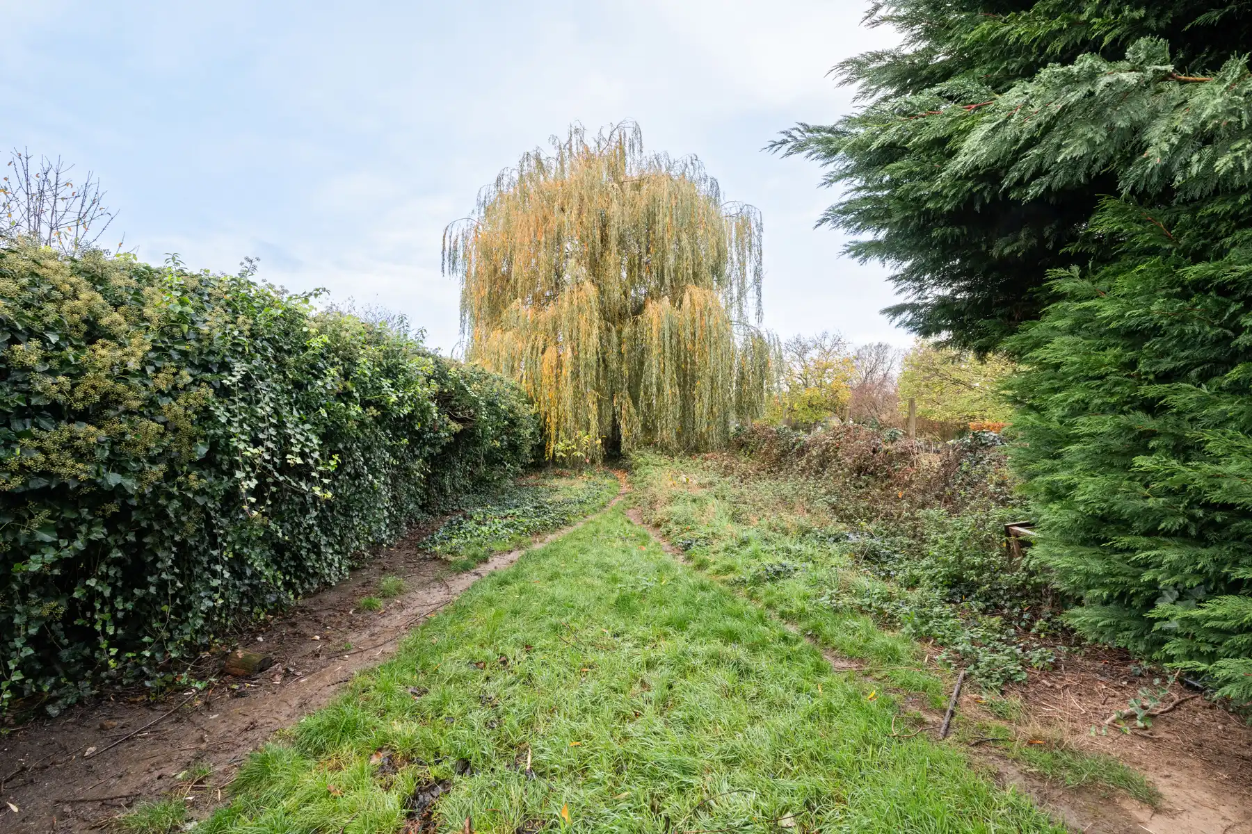 Huis te koop foto 25