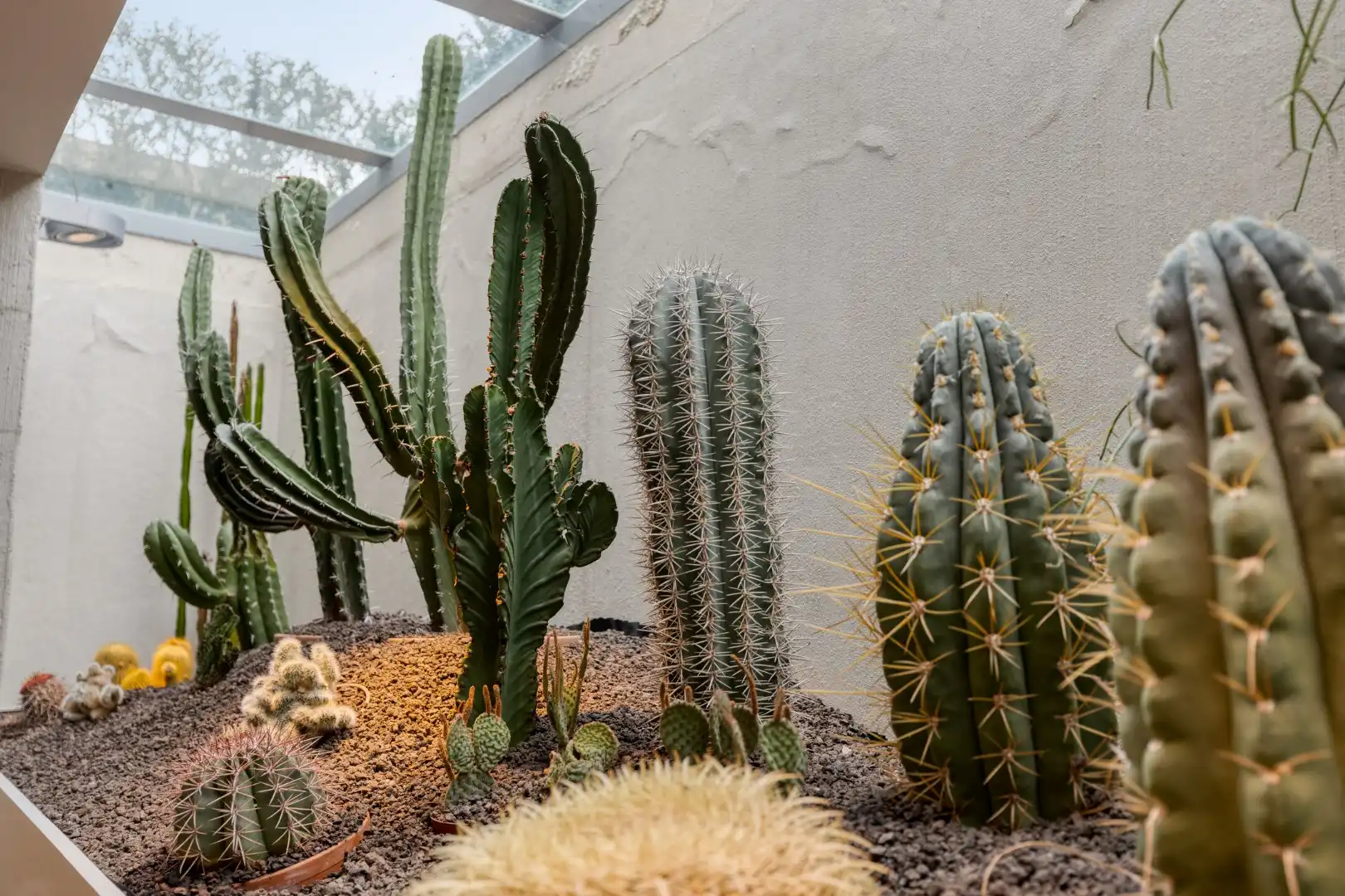 Instapklaar handelspand met ruime kelder en voldoende parking in het centrum van Geel ! foto 20