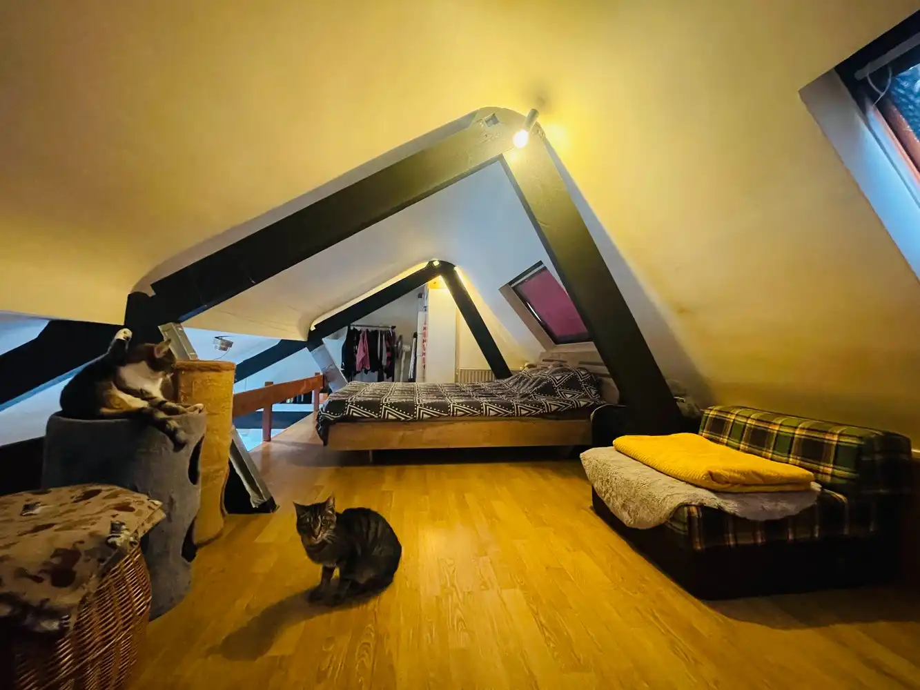 Brugge centrum, OPBRENGSTEIGENDOM bestaande uit  een MAGAZIJN op het gelijkvloers,  een STUDIO op de 1é Verd,  DUPLEX  LOFT STUDIO ONDER HET DAK ALLES VERHUURD MOOIE OPBRENGST foto 3