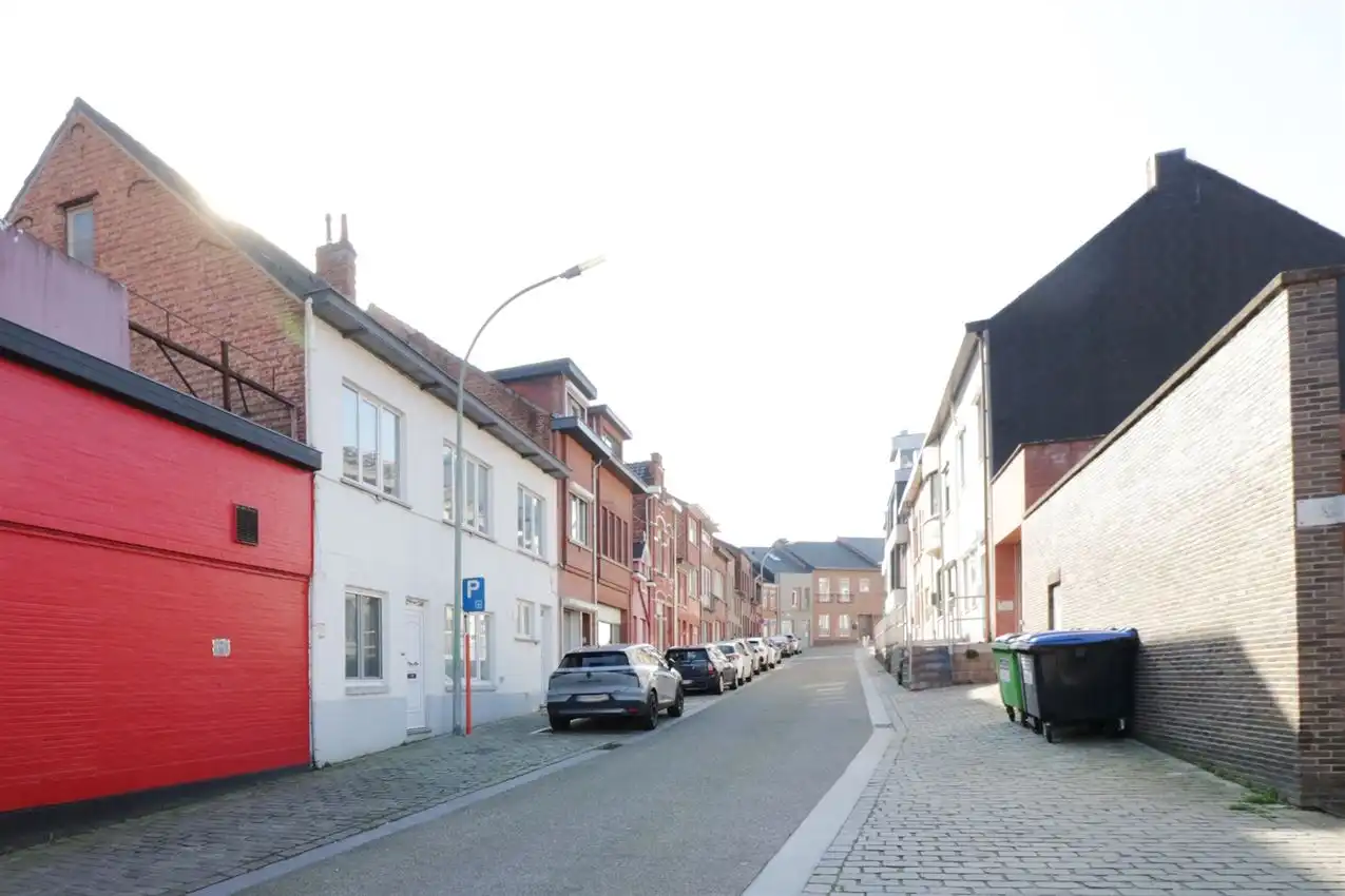 charmant, ruim, mogelijkheid beroep of kangoeroe foto 62