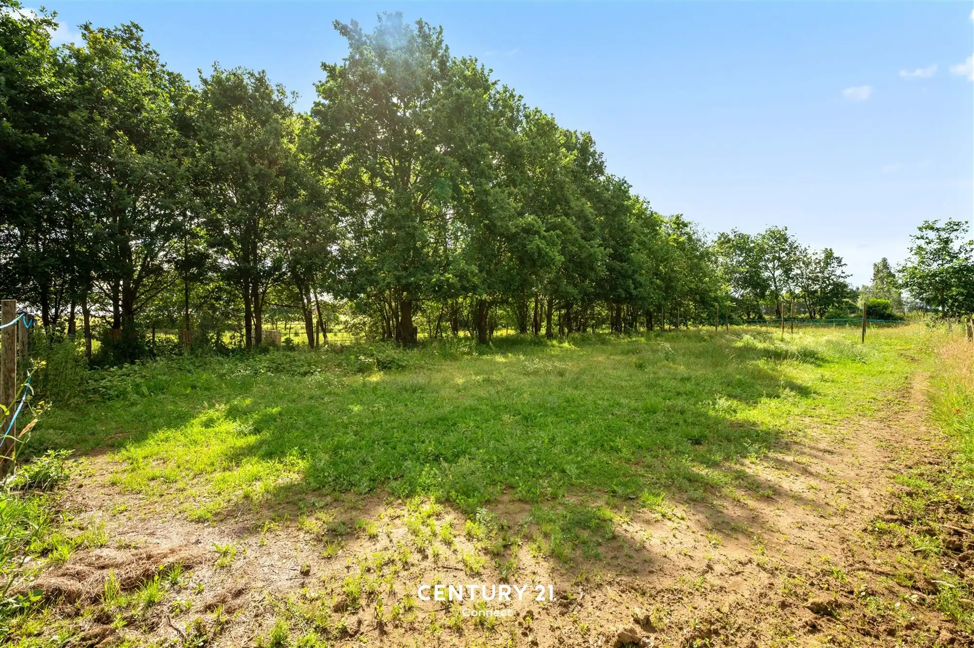 Te renoveren woning te Scherpenheuvel foto 13