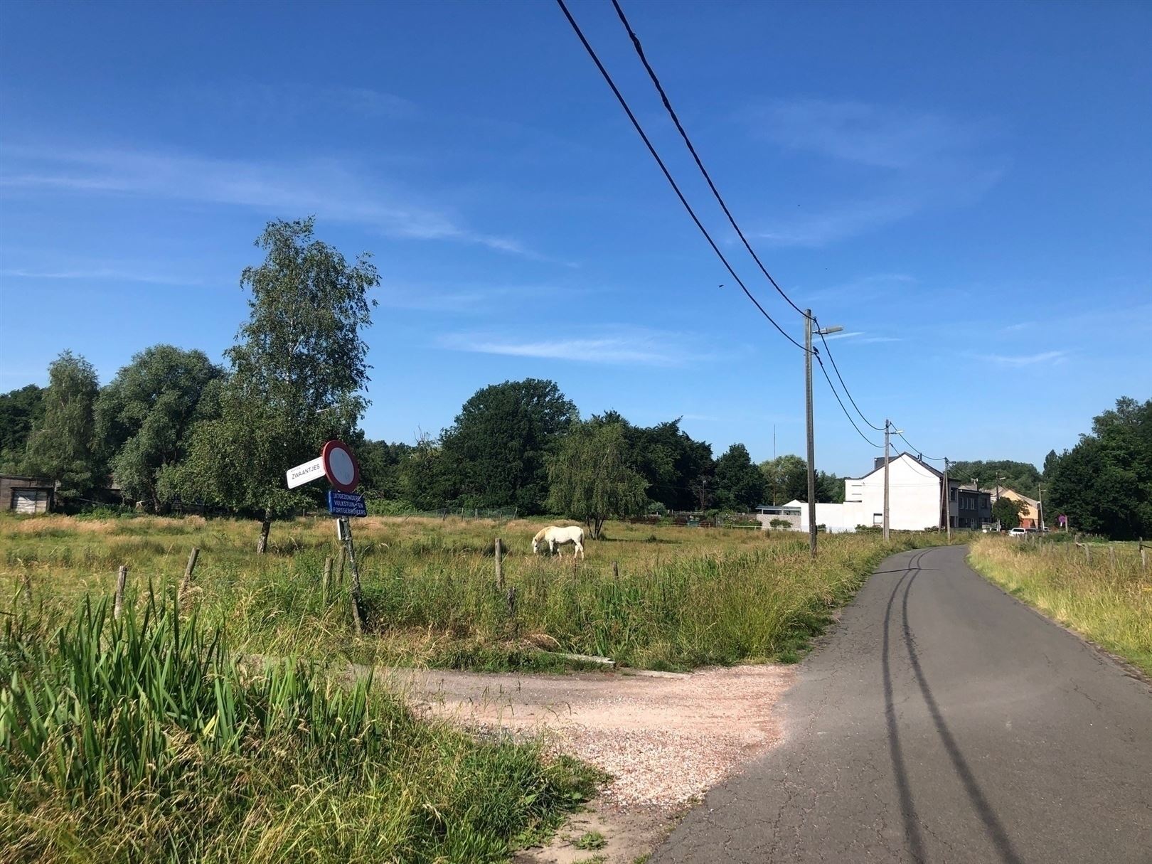 Half open bouwgrond aan het natuurgebied FORT VAN MERKSEM. foto 3