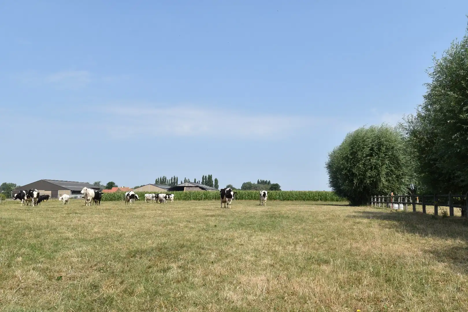 Bouwgrond met rustige, landelijke ligging en vergezicht te Heule foto 3