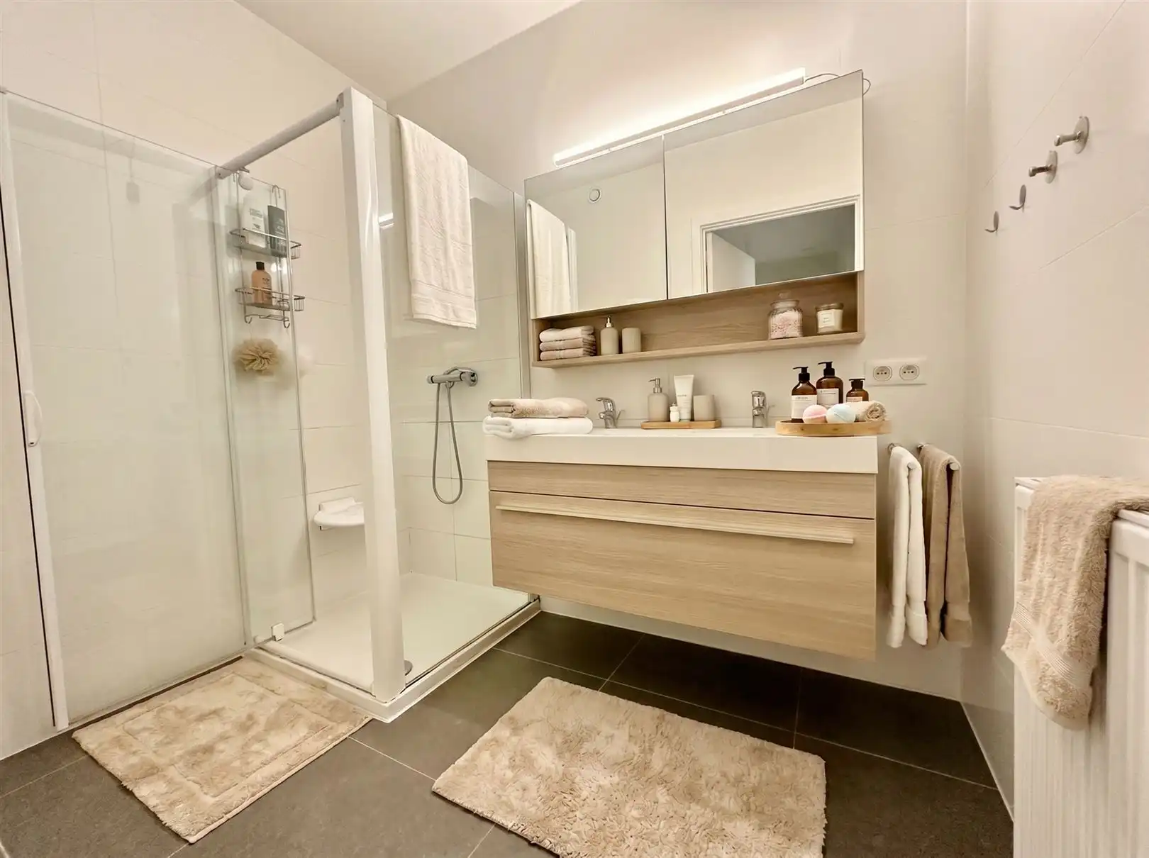 Gelijkvloers appartement TE HUUR met zicht op de Schelde  foto 4