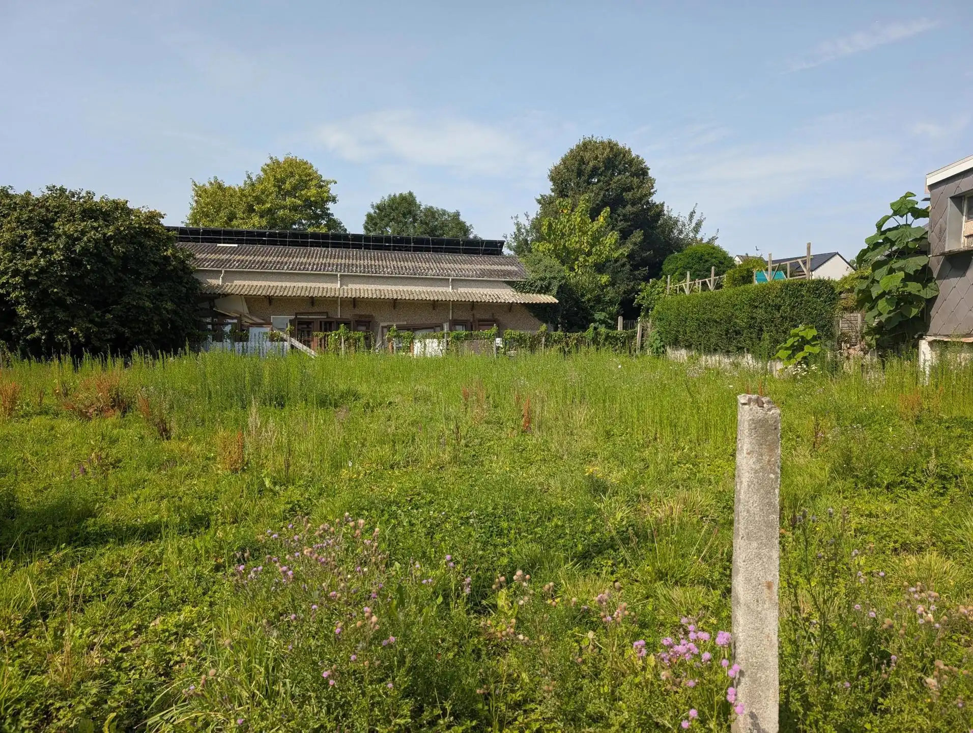 Bouwgrond voor 2 HOB of 1 grote open bebouwing foto 2