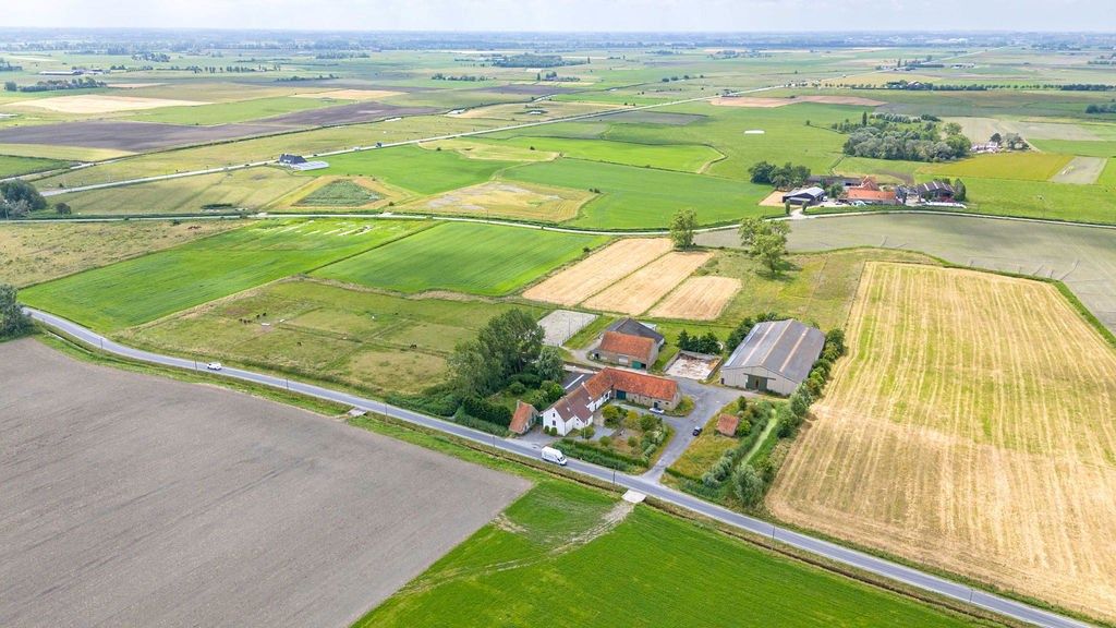 HOEVE op 6,9 HA met NIEUWE VERGUNNING voor PAARDENFOKKERIJ foto 3