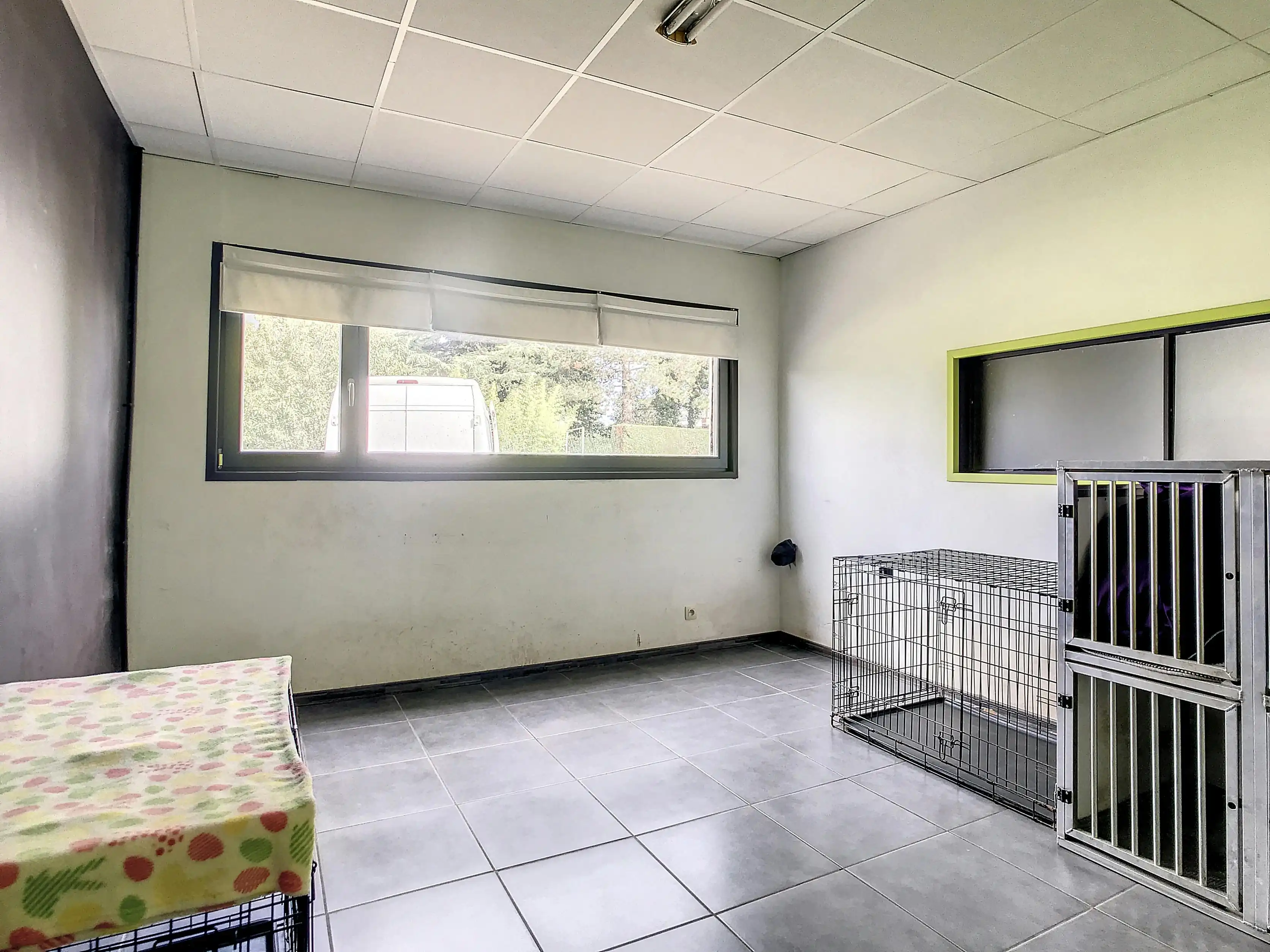 Ruime loods met wooneenheid in het centrum van Ruisbroek foto 6