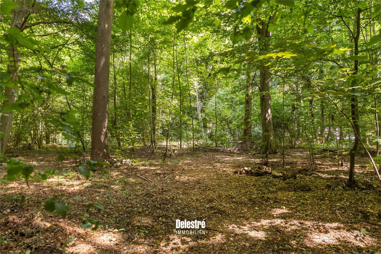 TIJDLOZE VILLA OP 3.317 M2 BOIS DE STRIHOUX foto 29