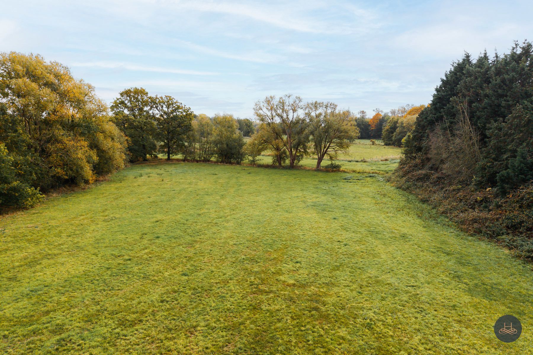 Groen, rustig gelegen woning op 1.71 ha tussen de weilanden foto 14