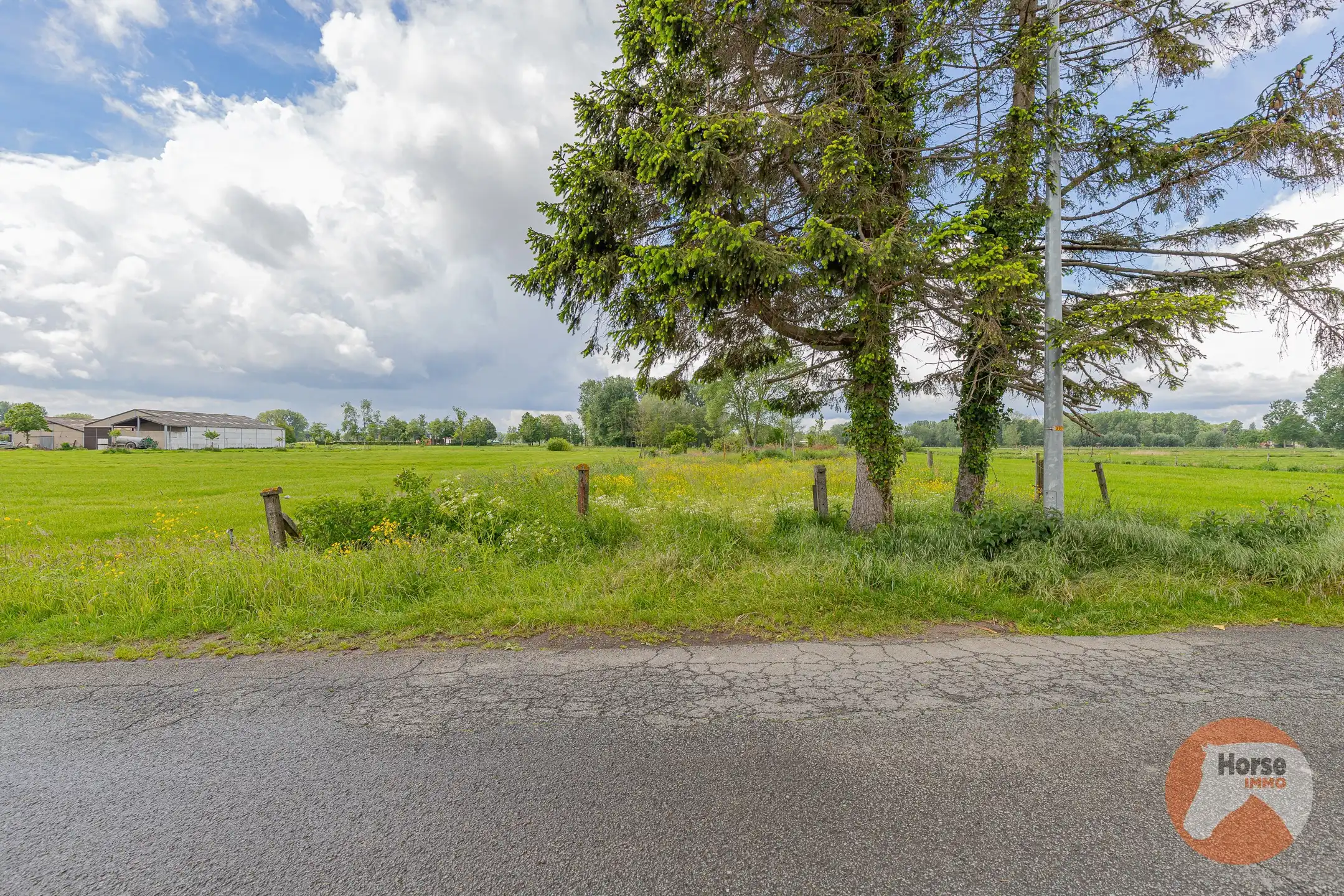 HOFSTADE - Charmante gelegen woning met bijgebouwen en weide foto 32