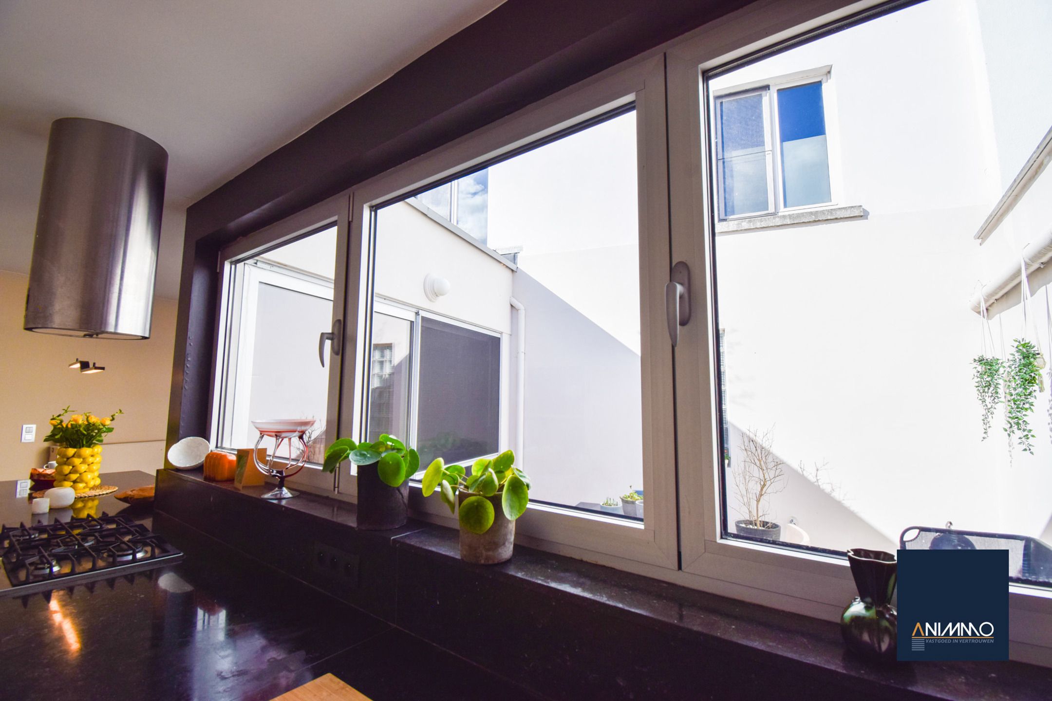 Huis te koop foto 14
