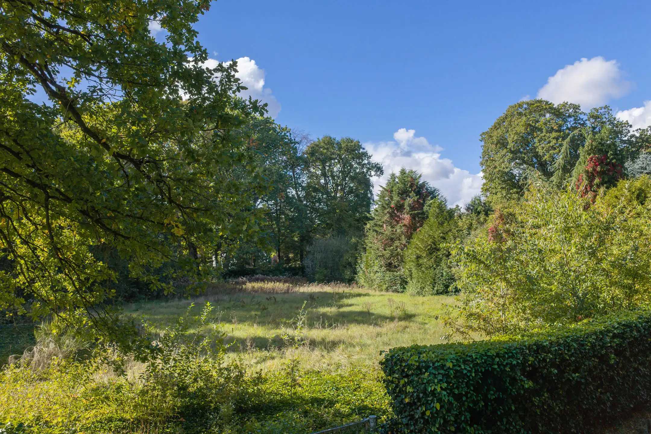 Uniek bouwperceel van 2.963 m² met zuidwestelijke oriëntatie foto 3