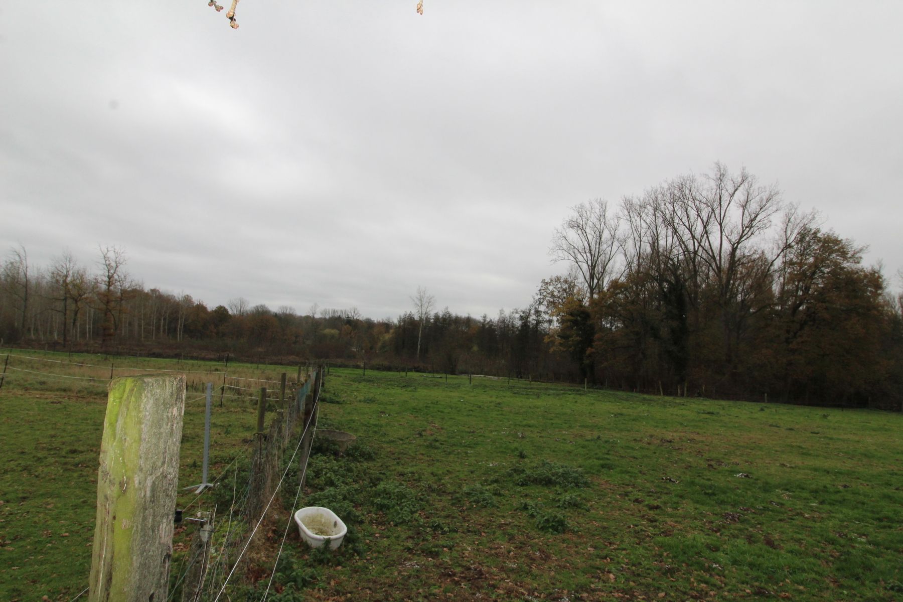 Asbeek: achtergelegen weide  foto 9