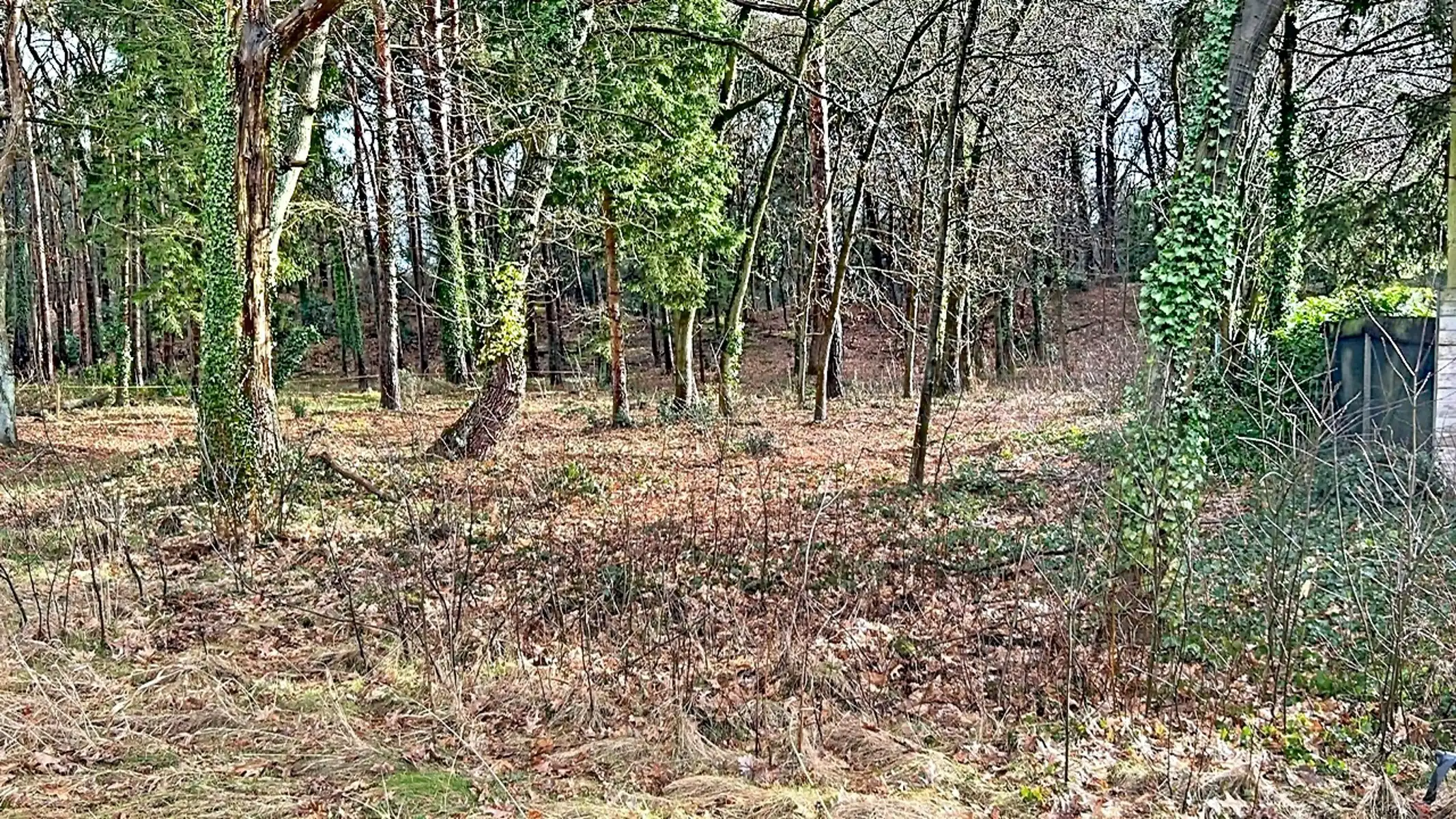 Bouwgrond van ca 1469 m² te koop in groene omgeving foto 7