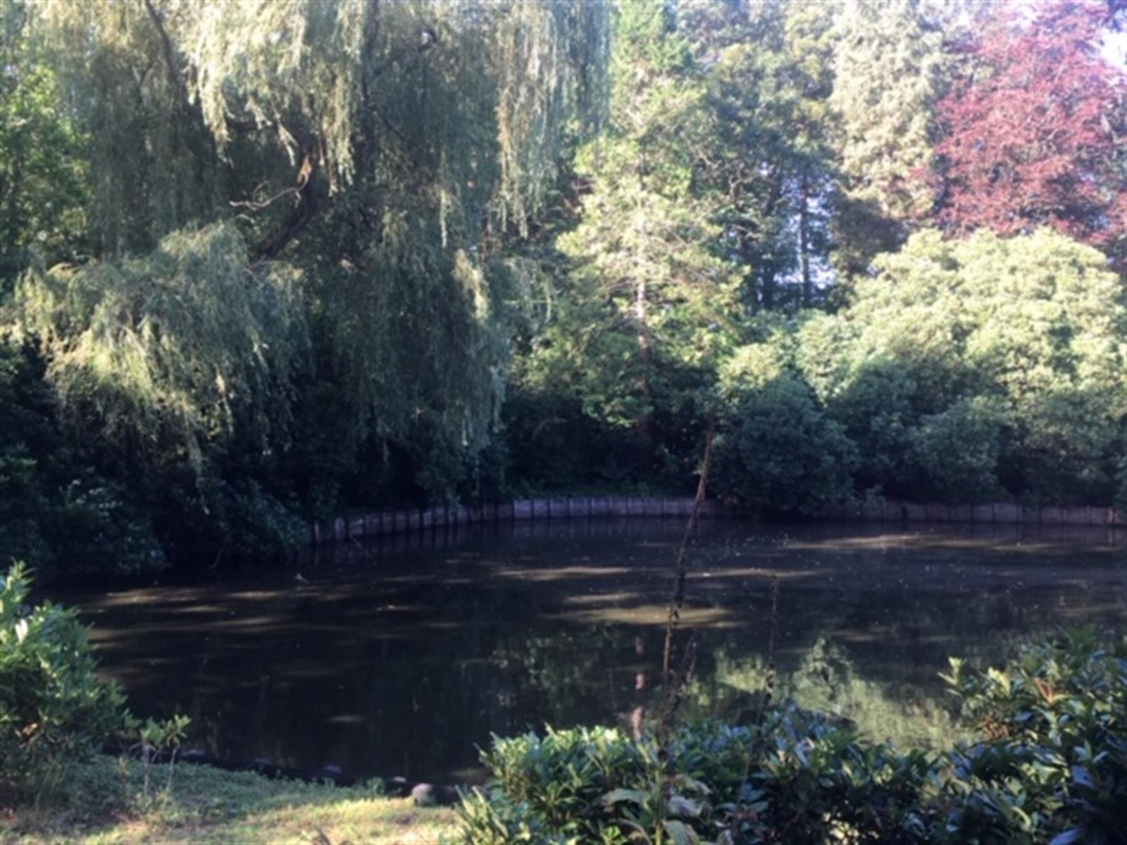 Villa in een oase van groen met zicht op waterpartij foto 12