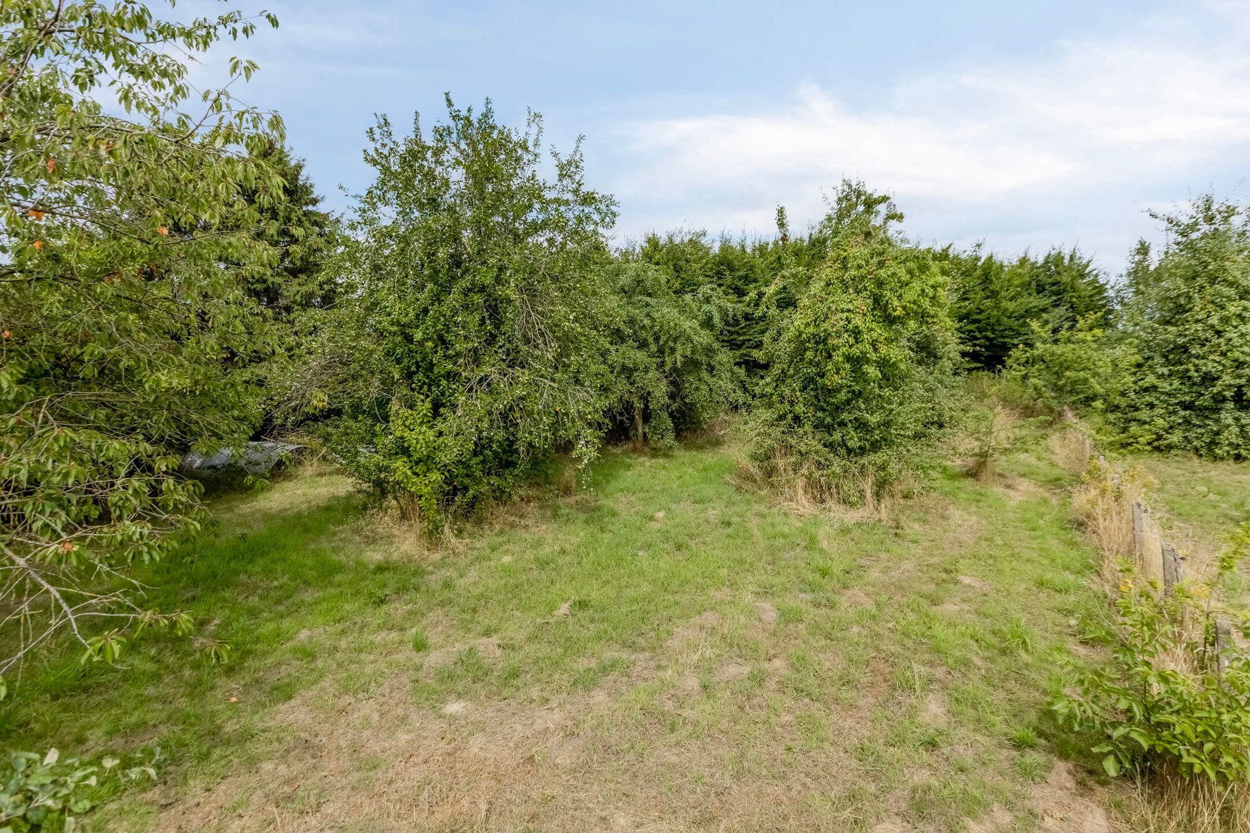Huis te koop foto 35