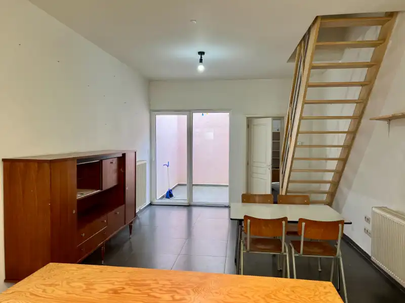 RIJWONING MET DRIE SLAAPKAMERS EN GEPLAVEIDE KOER foto 5