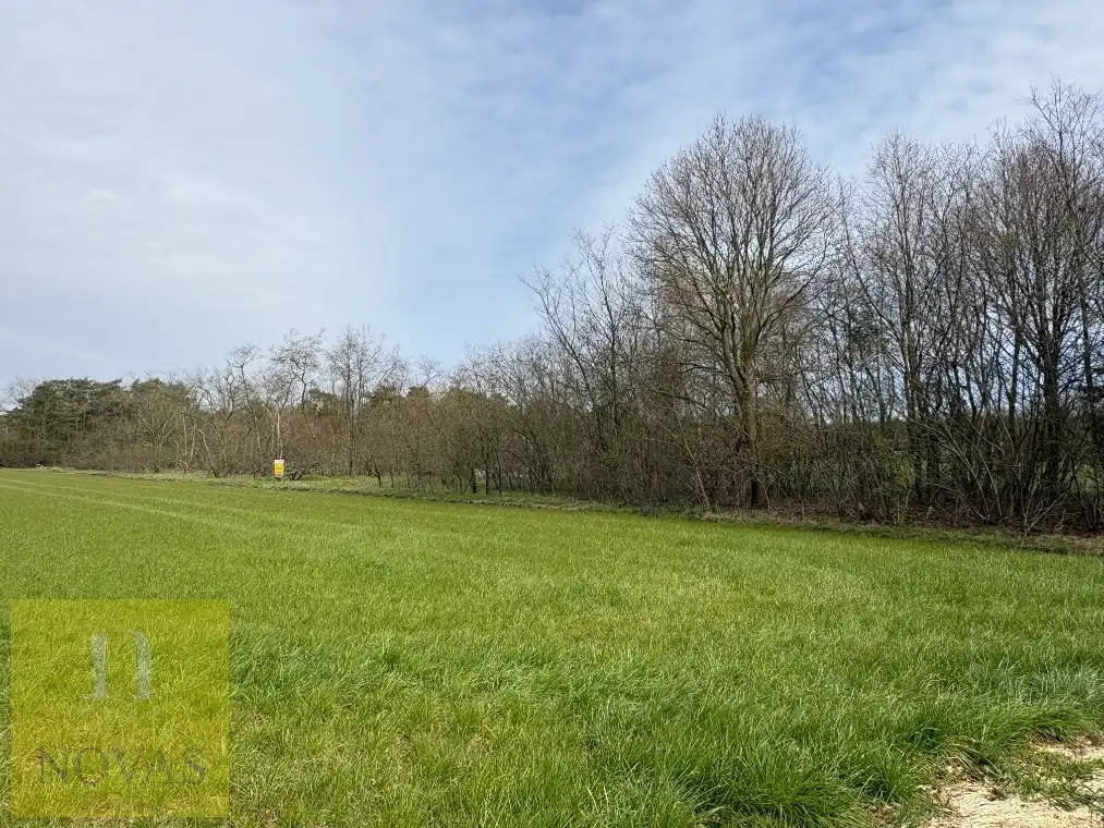 Boerderij te koop Kaatstraat zn - 3920 Lommel