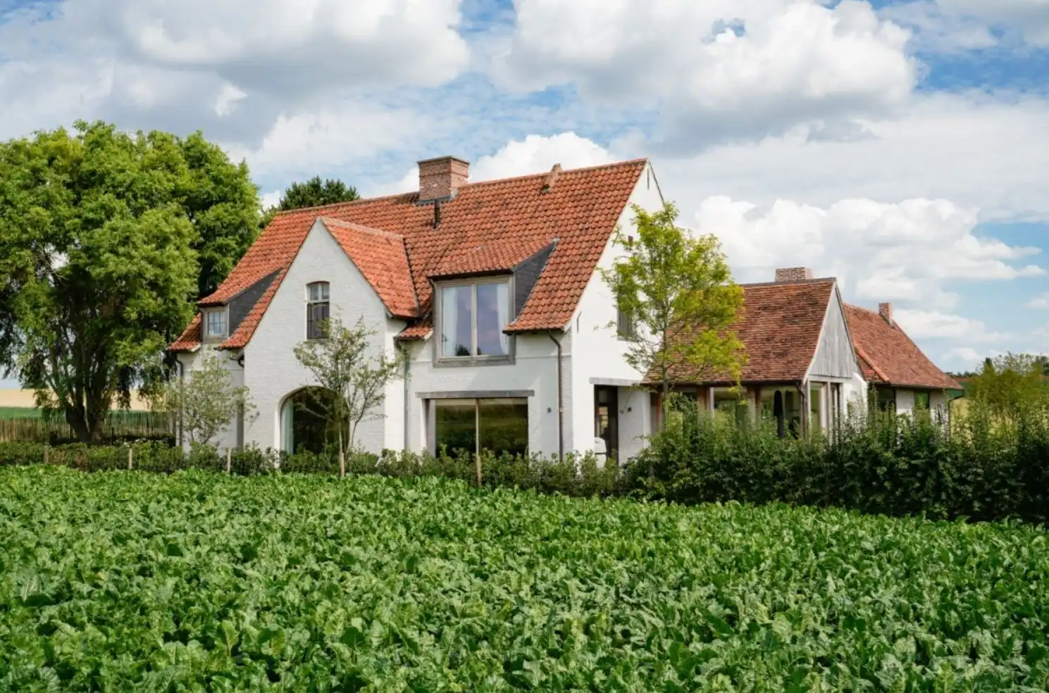 Perceel bouwgrond voor villabouw  -  Lot 3 foto 5