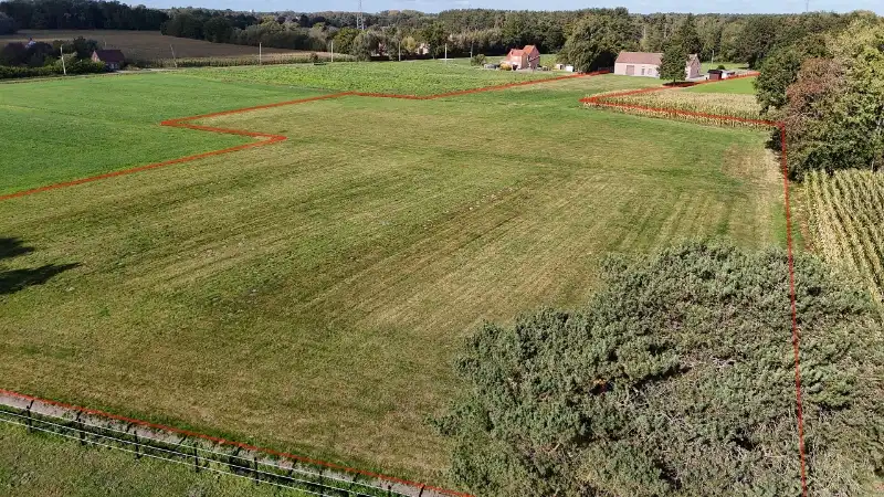 Hoeve van 300m² op 1 hectare 77 met achterliggende weiden foto 25