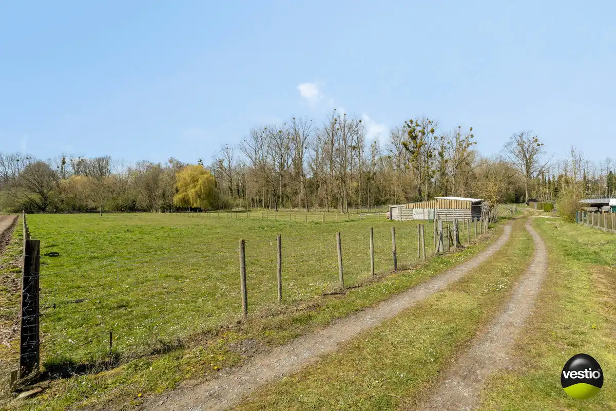 WONING OP 7A59CA MET ACHTERLIGGENDE WEILANDEN 62A53CA TE RIJKHOVEN. foto 42