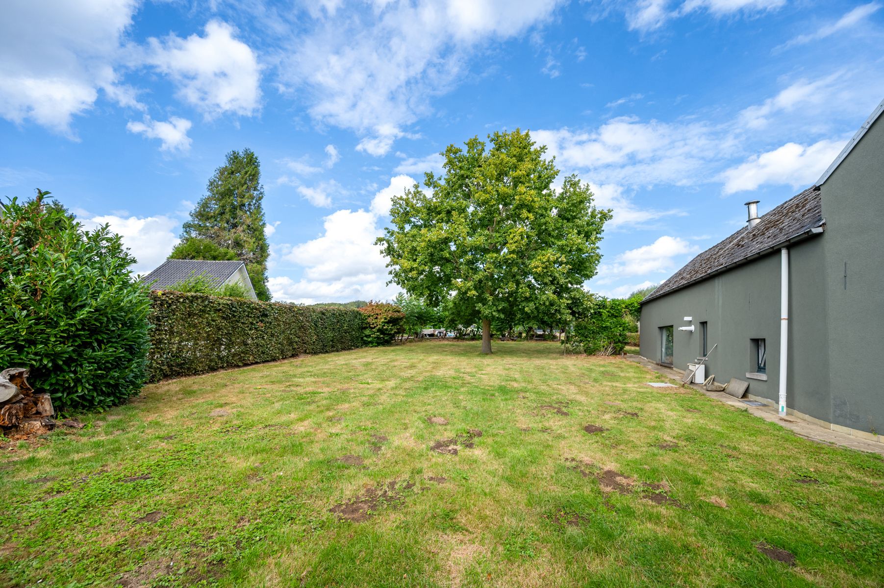 Ruime woning met atelier en garage op perceel van 32 are  foto 9