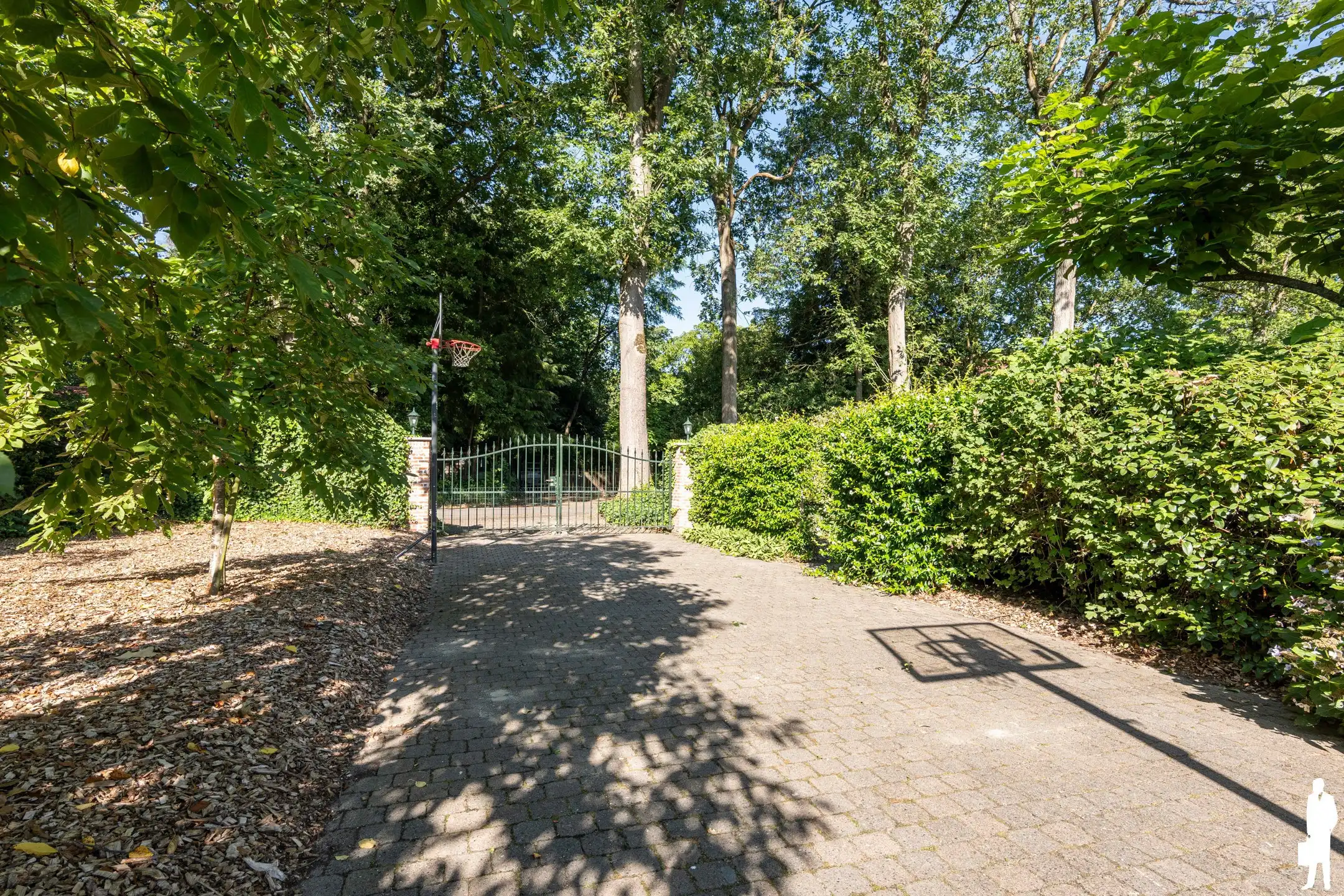 Ruime villa - natuurlijke ligging: bos & weiland; zuidtuin  foto 28