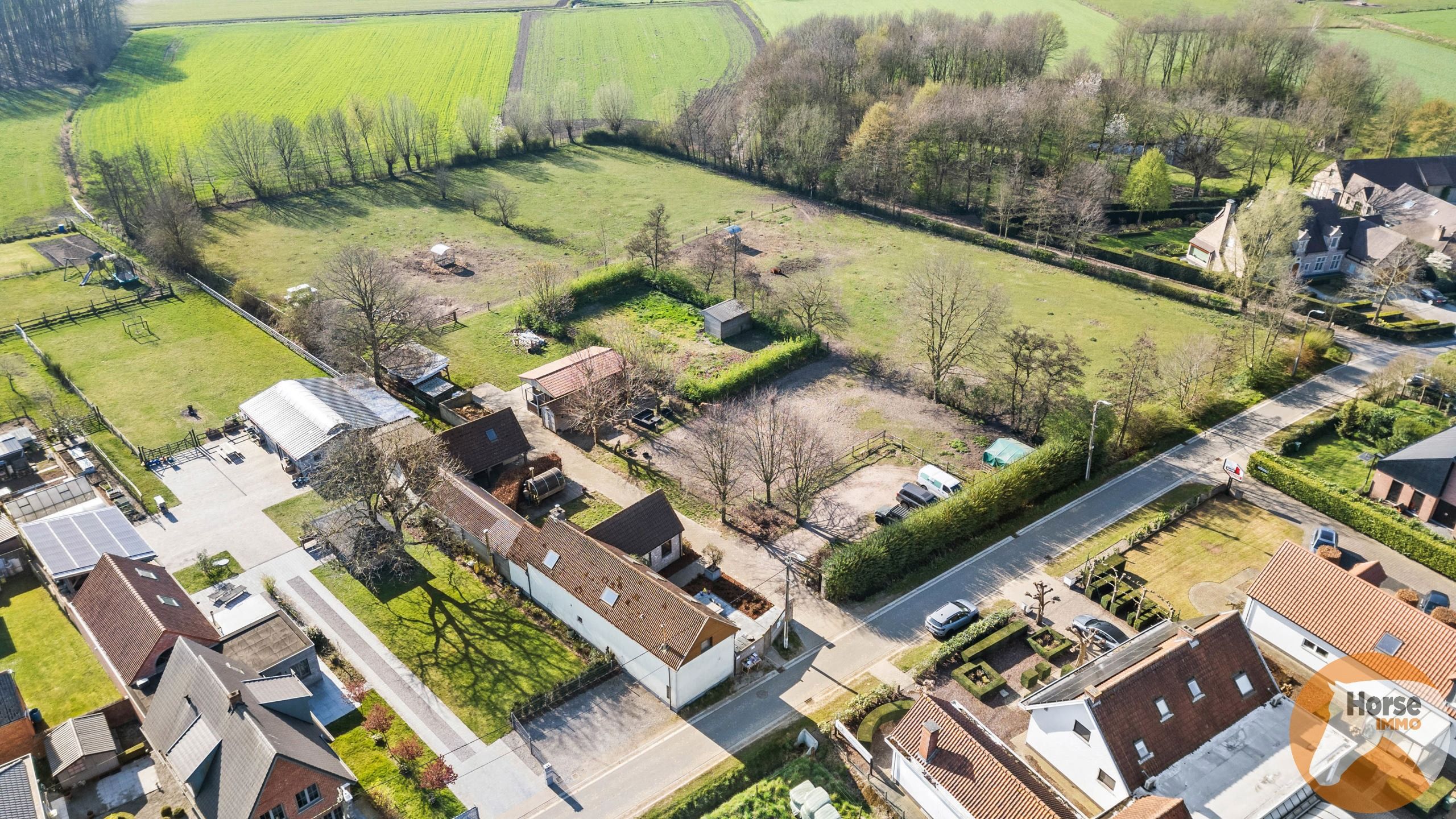 BERLARE - Instapklare woning met stallen en weides foto 4