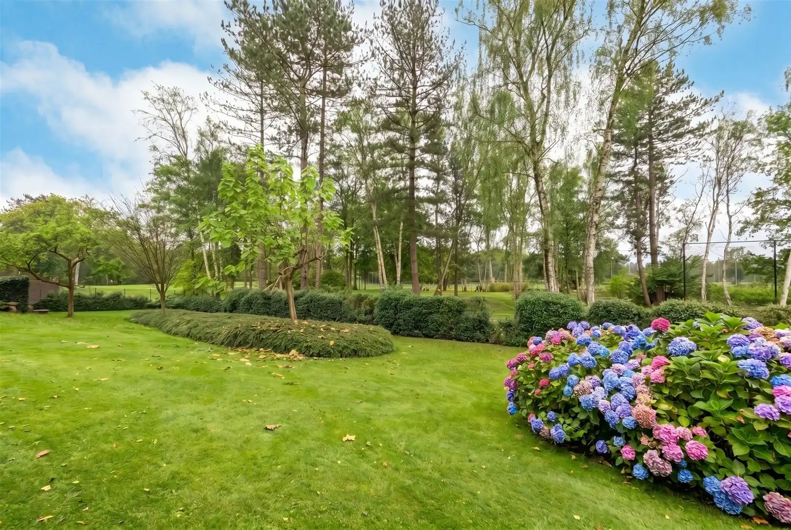 Gelijkvloers drie-slaapkamer appartement met zicht op de Golf van Brasschaat foto 14