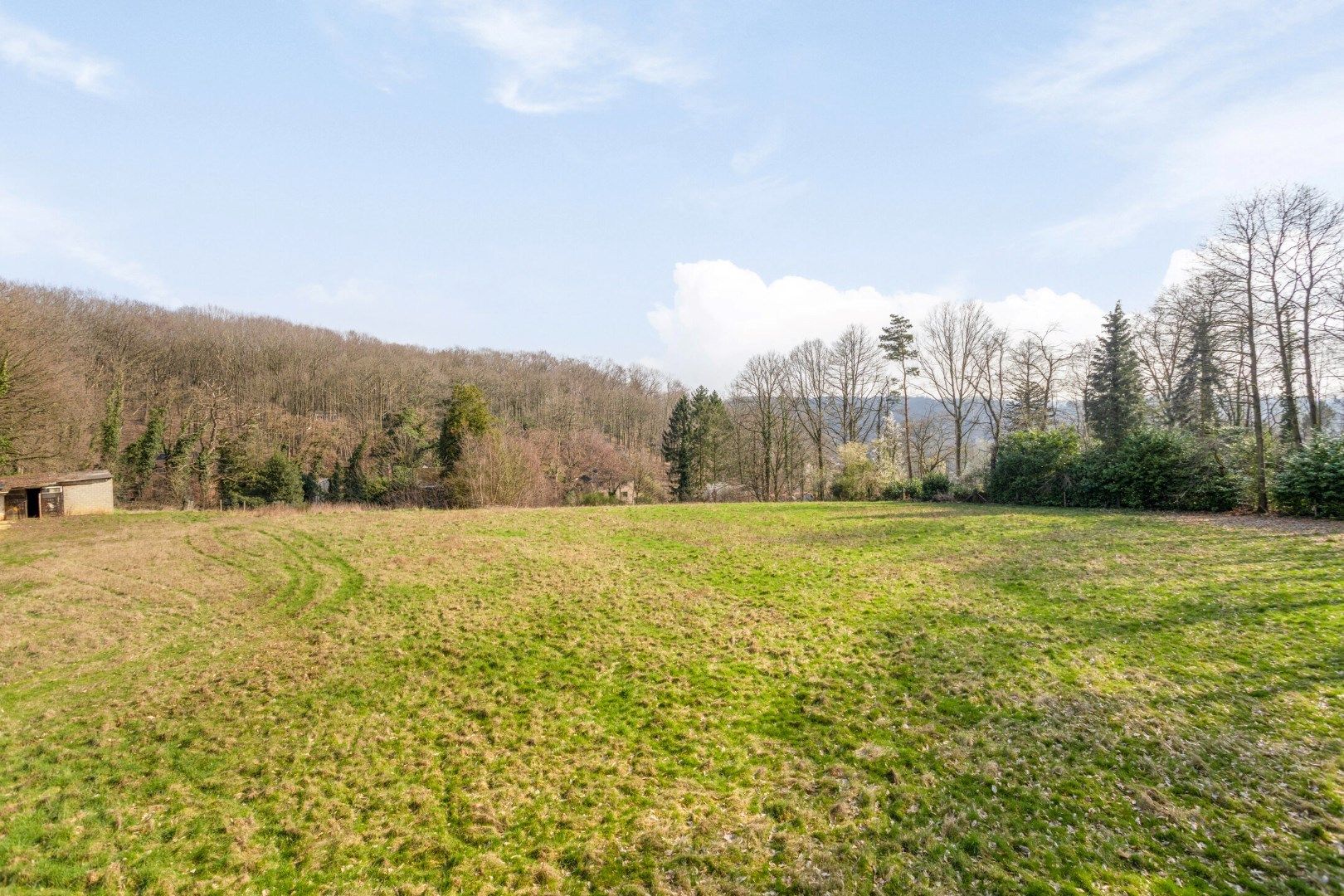 Uniek project: te renoveren woning op een perceel van bijna 1 hectare in Kessel-Lo. foto 27