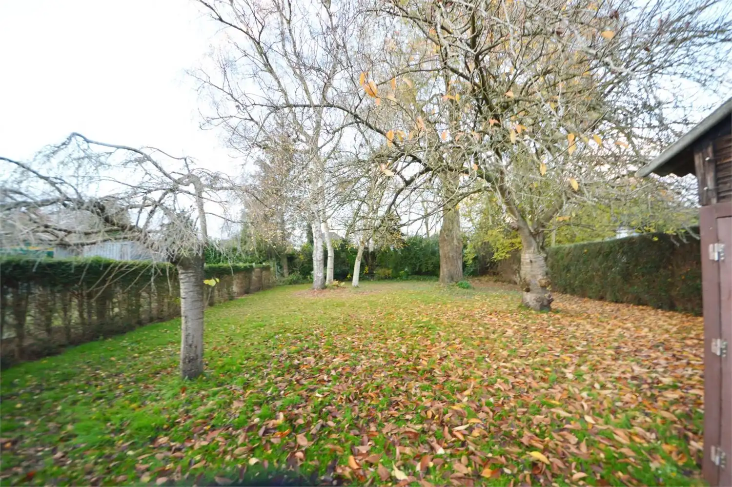 RUIME WONING 4 SLPK, GARAGE EN RUIME TUIN foto 15
